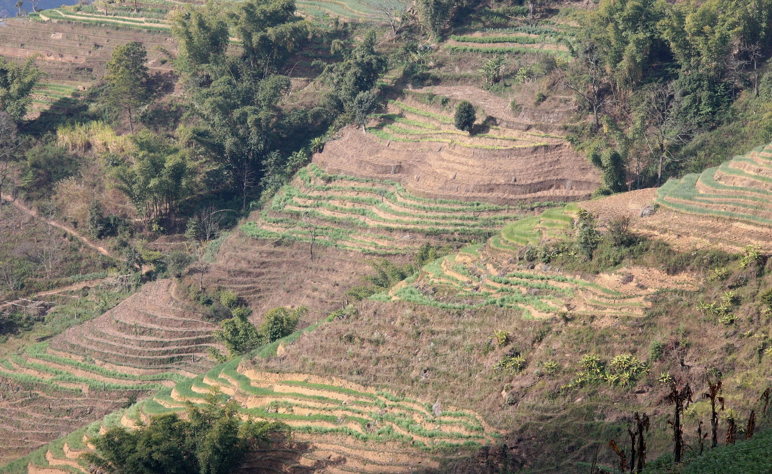 YUNNAN - WULIANGSHAN NATURE RESERVE AND SURROUNDING REGION (3).JPG