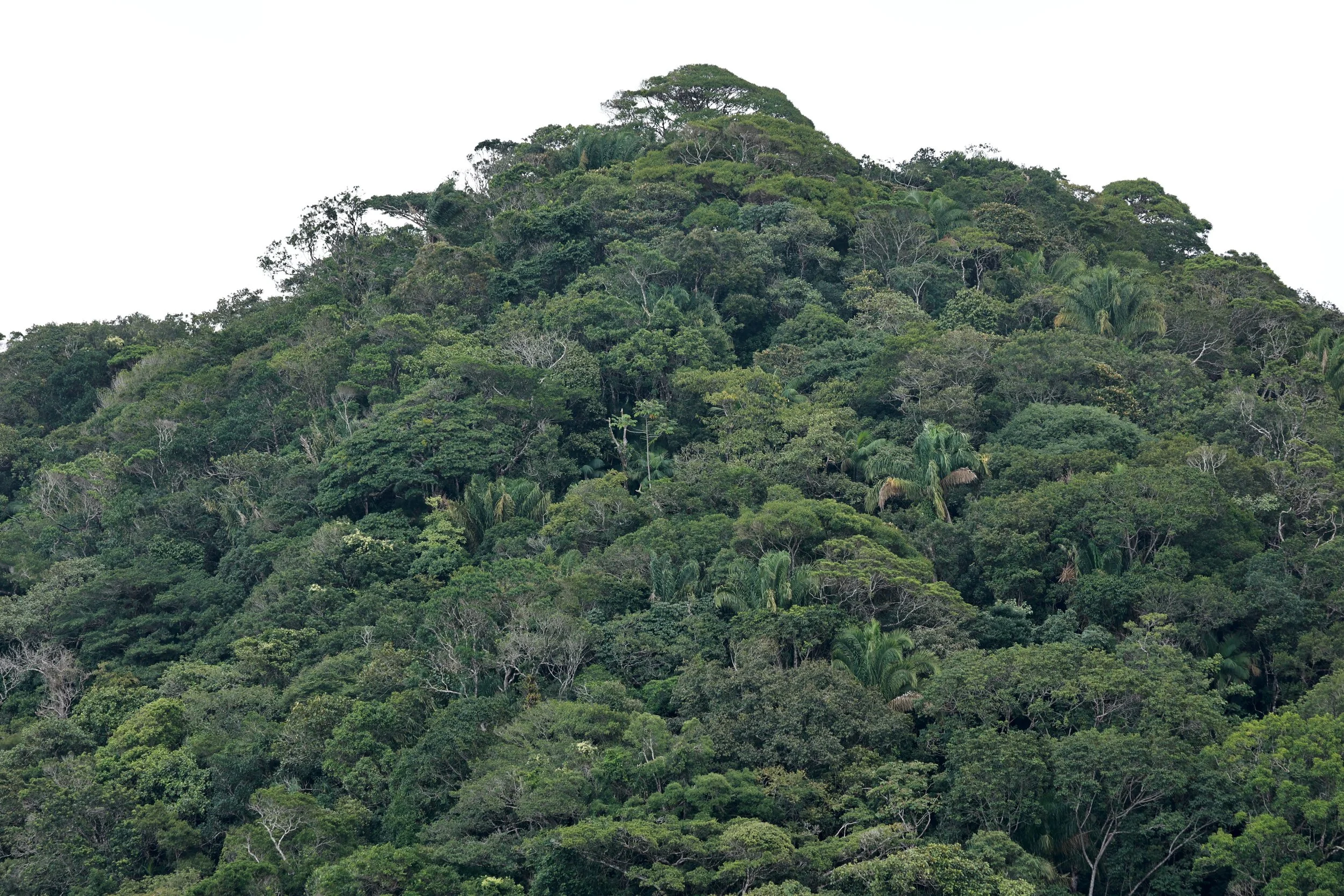 Superagüi National Park