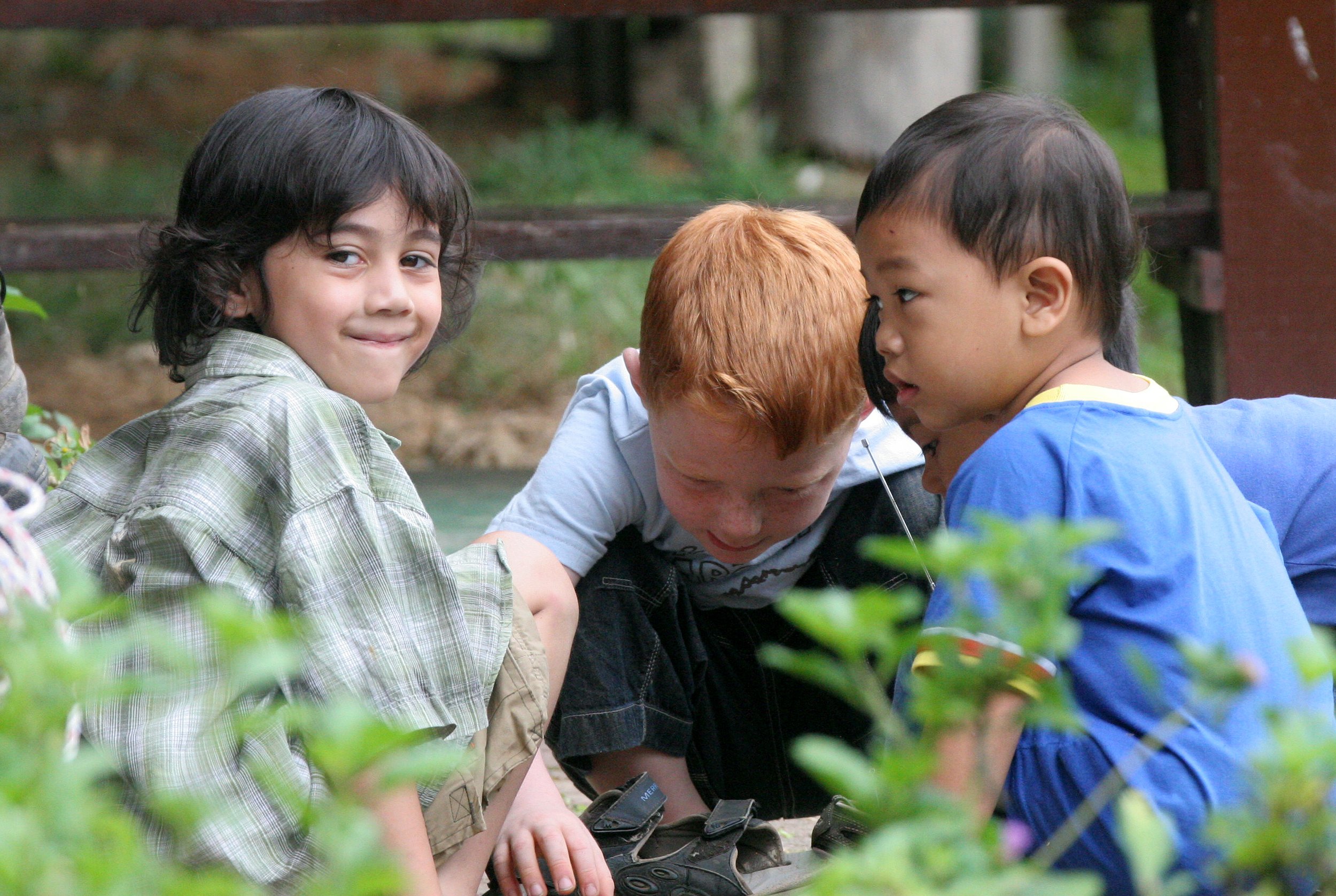 Cokie playing with researchers' kids at the Danum Valley Research Center