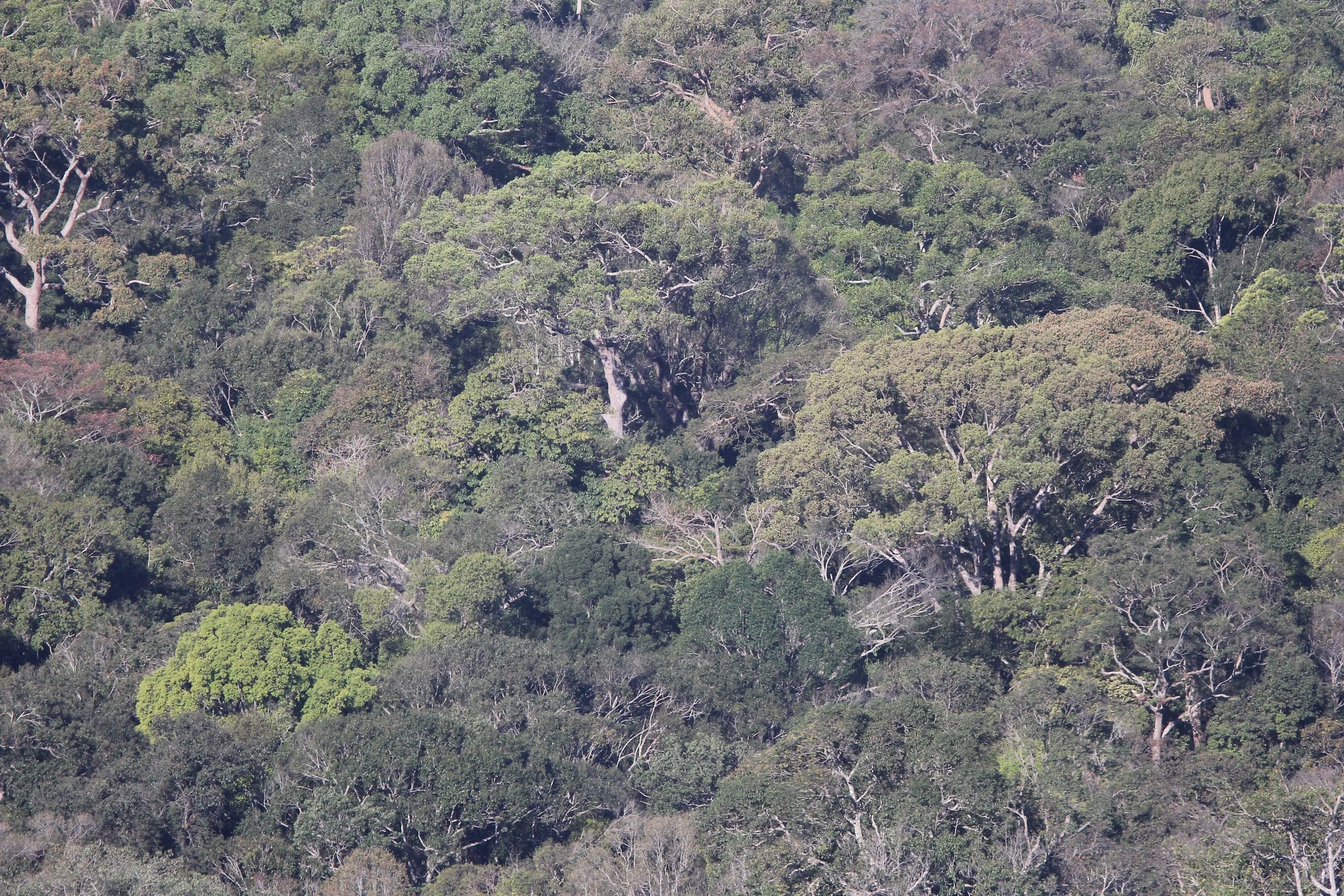 2019 Khao Yai Camping Trip (52).JPG