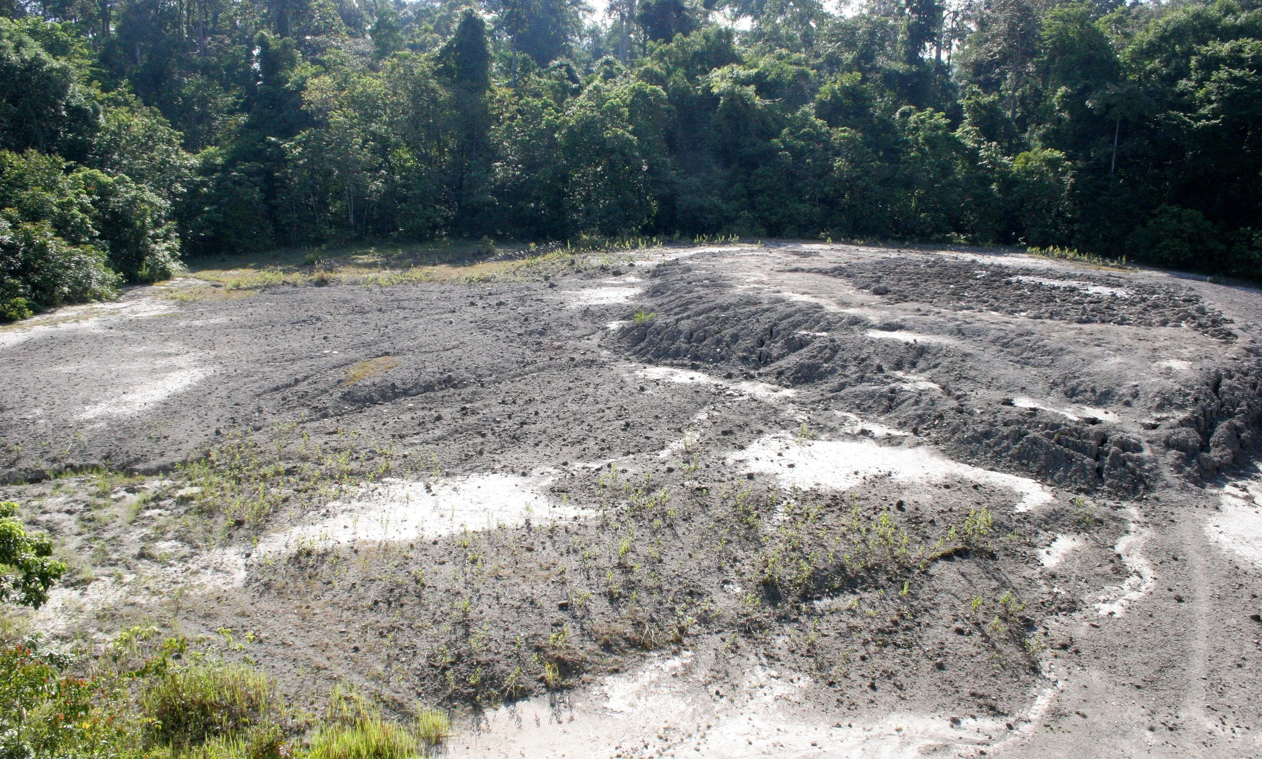 TABIN WILDLIFE RESERVE BORNEO - MUD VOLCANOES (4).JPG