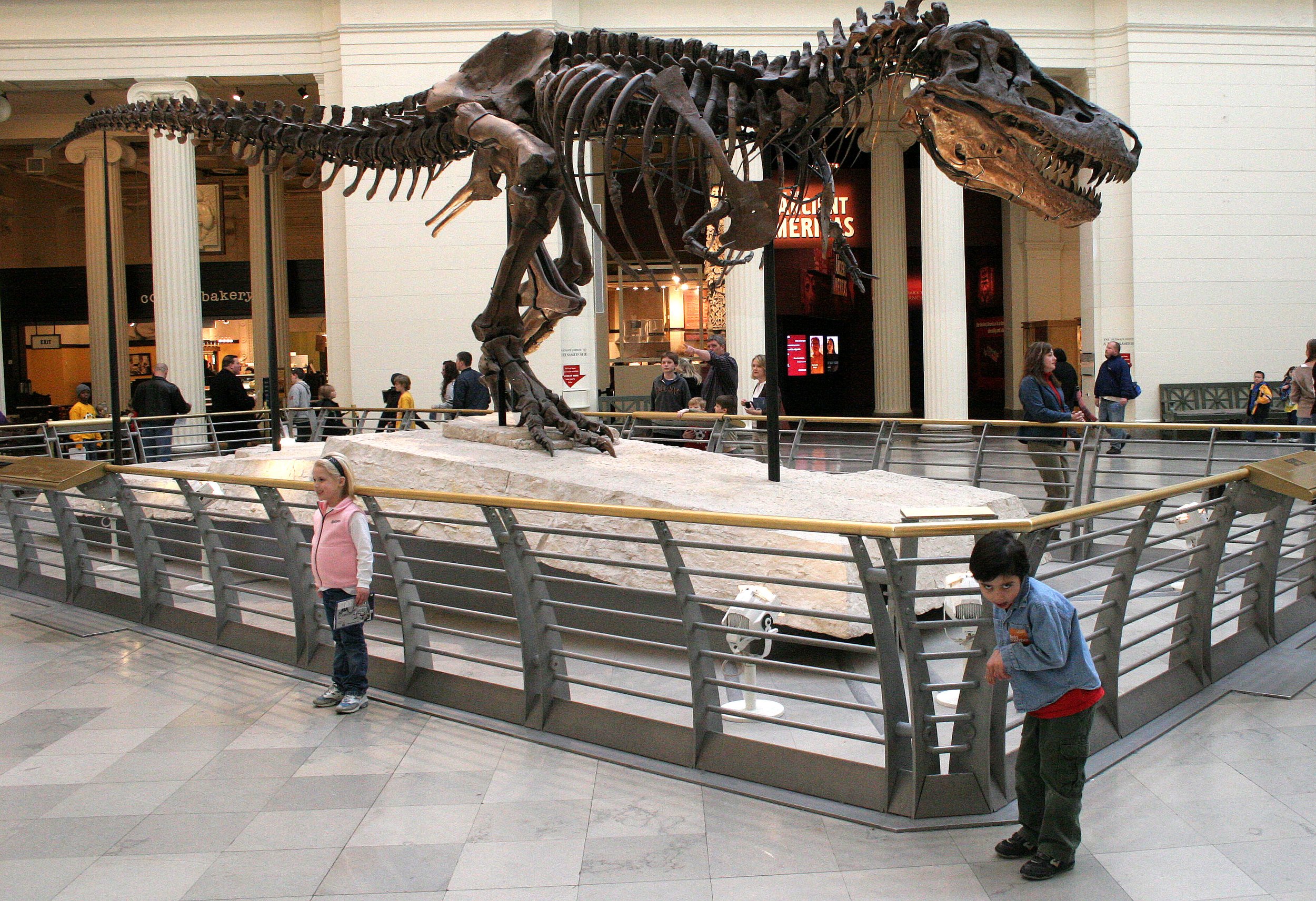 2008-3-28 CHICAGO SPRING BREAK TRIP (15).JPG