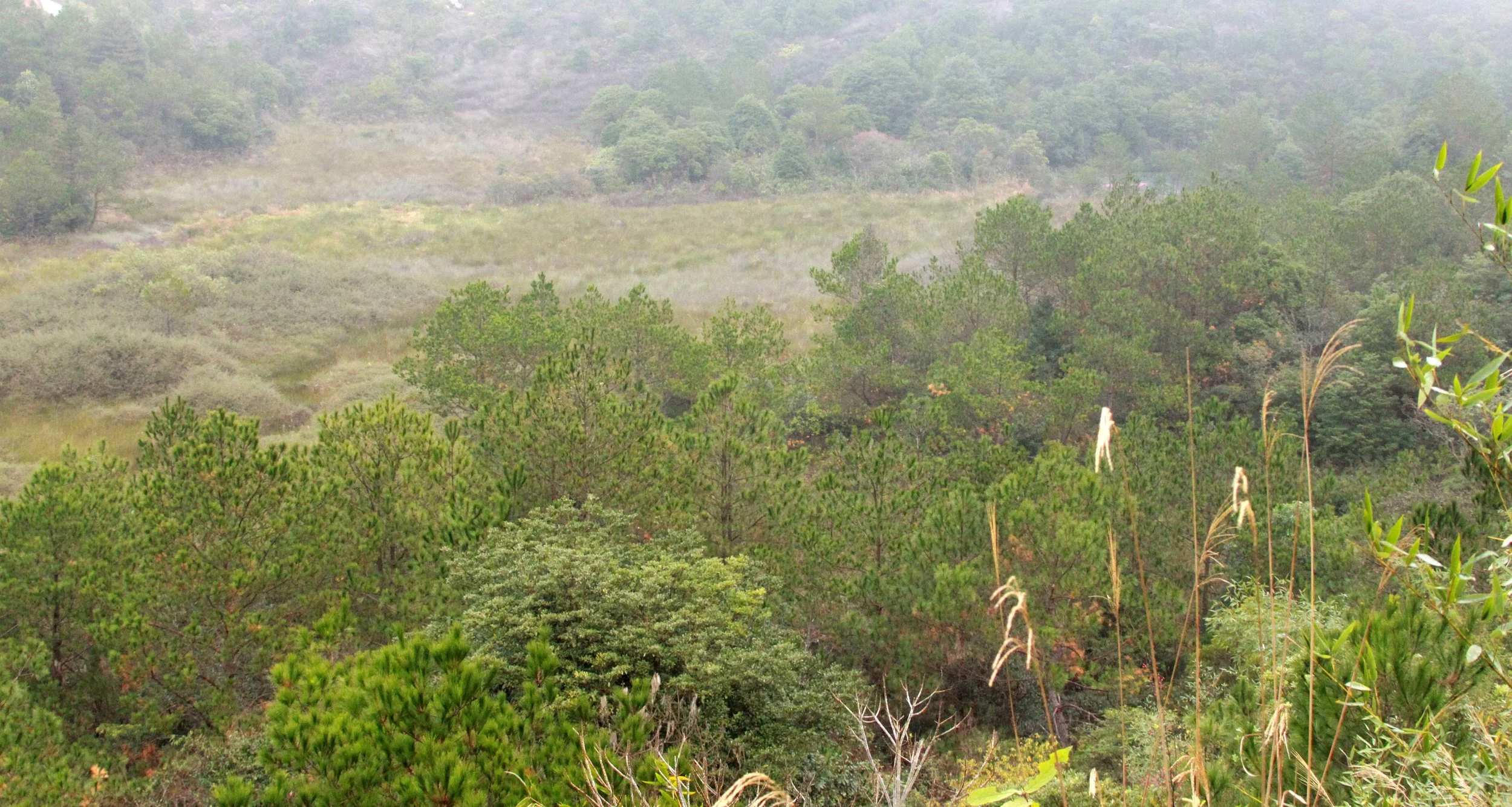 MEIHUASHAN - FUJIAN CHINA (63).JPG