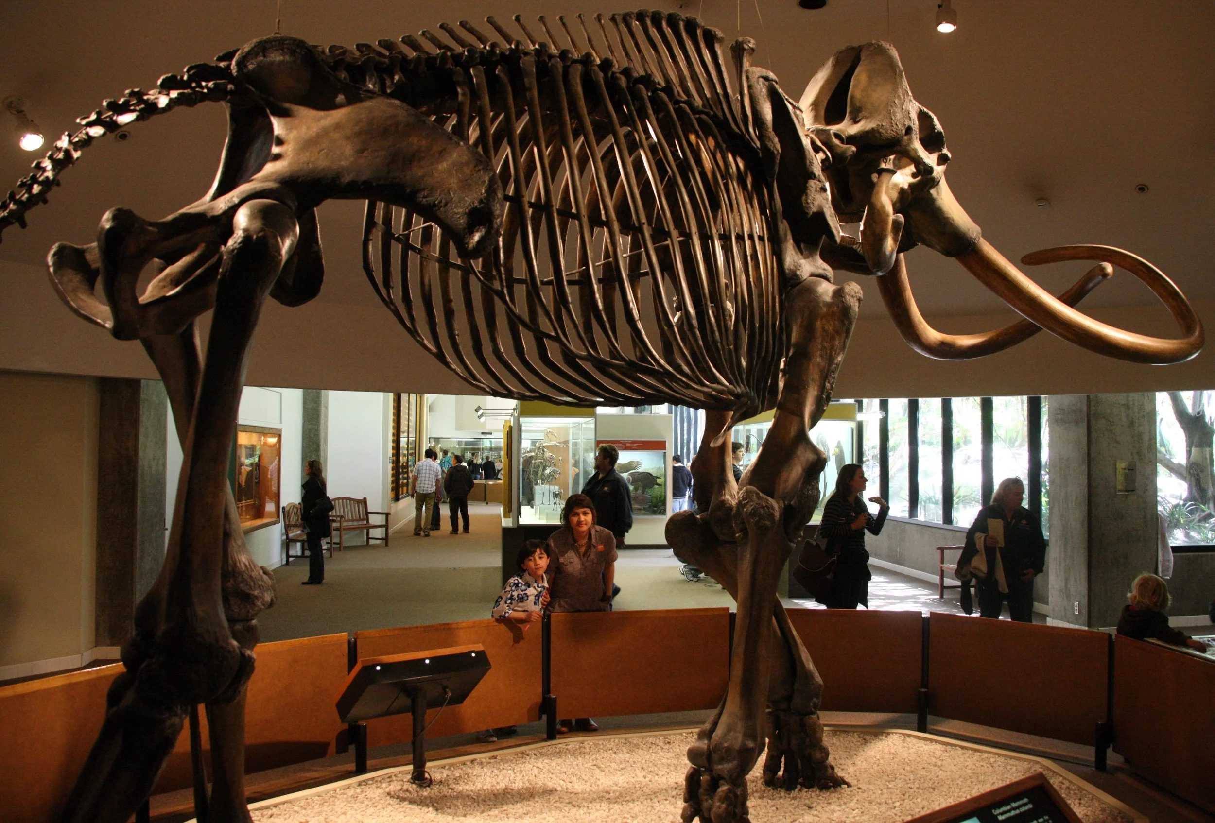 2010-4-5 LA BREA TAR PITS LOS ANGELES (3).JPG