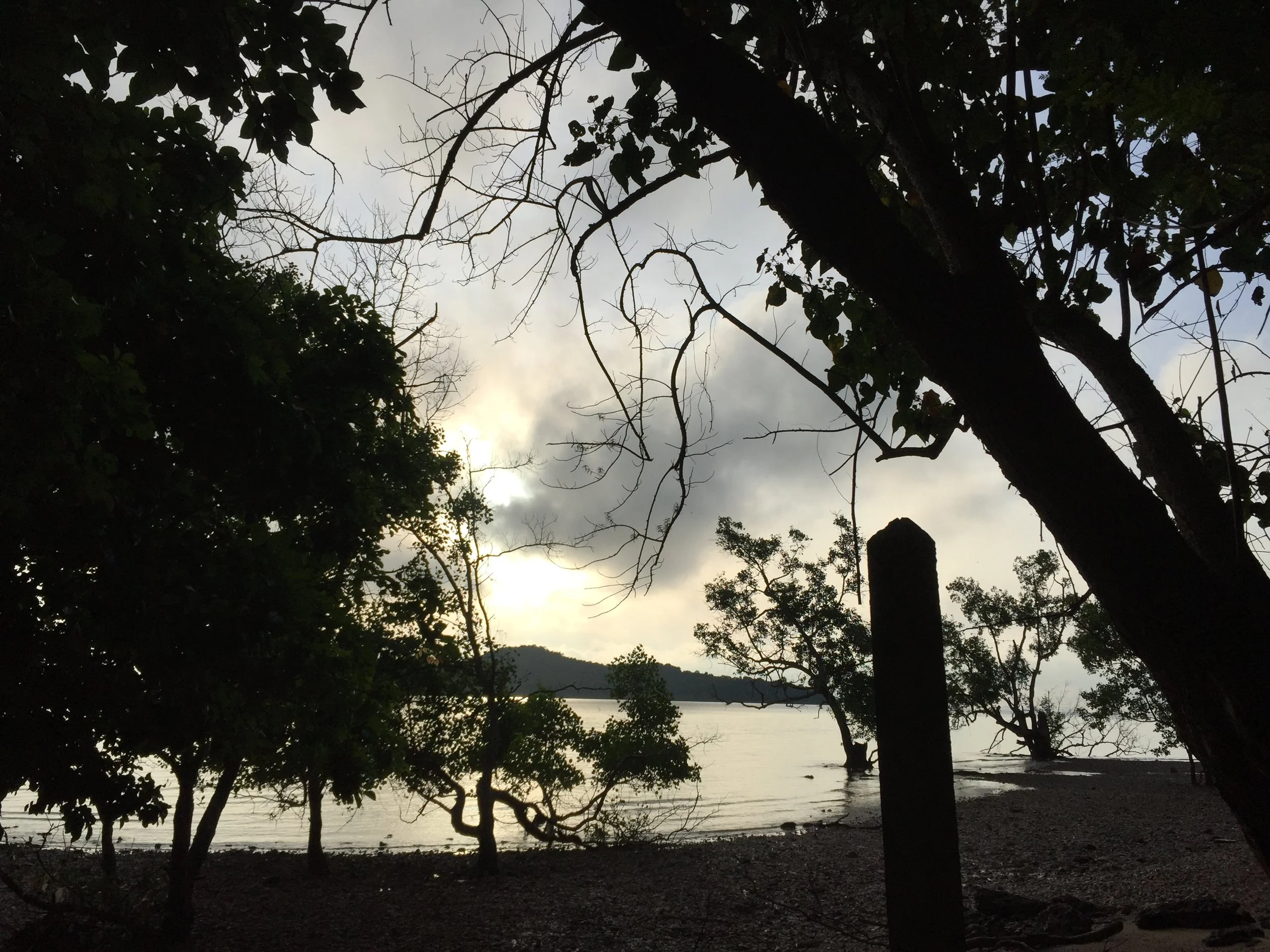2015 Koh Lanta Garden & Nature (247).JPG