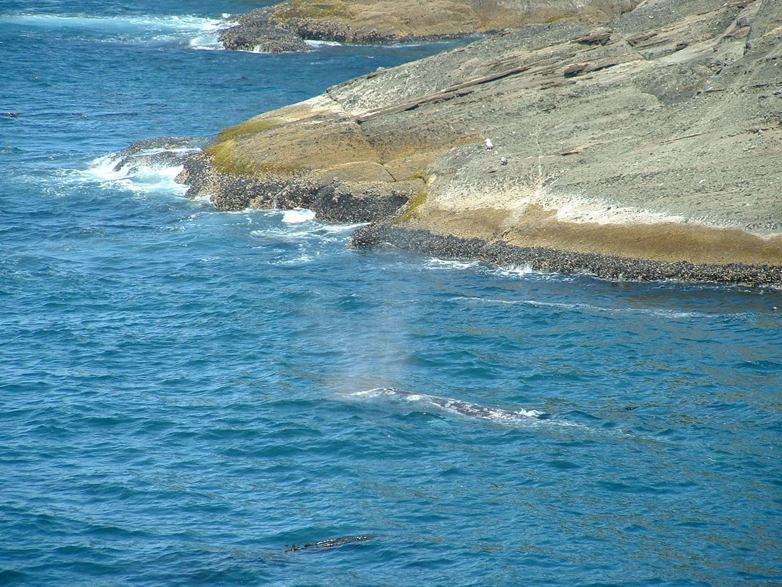 2003-8-1 WASHINGTON VISIT FROM ROBINSONS ET AL (90).JPG