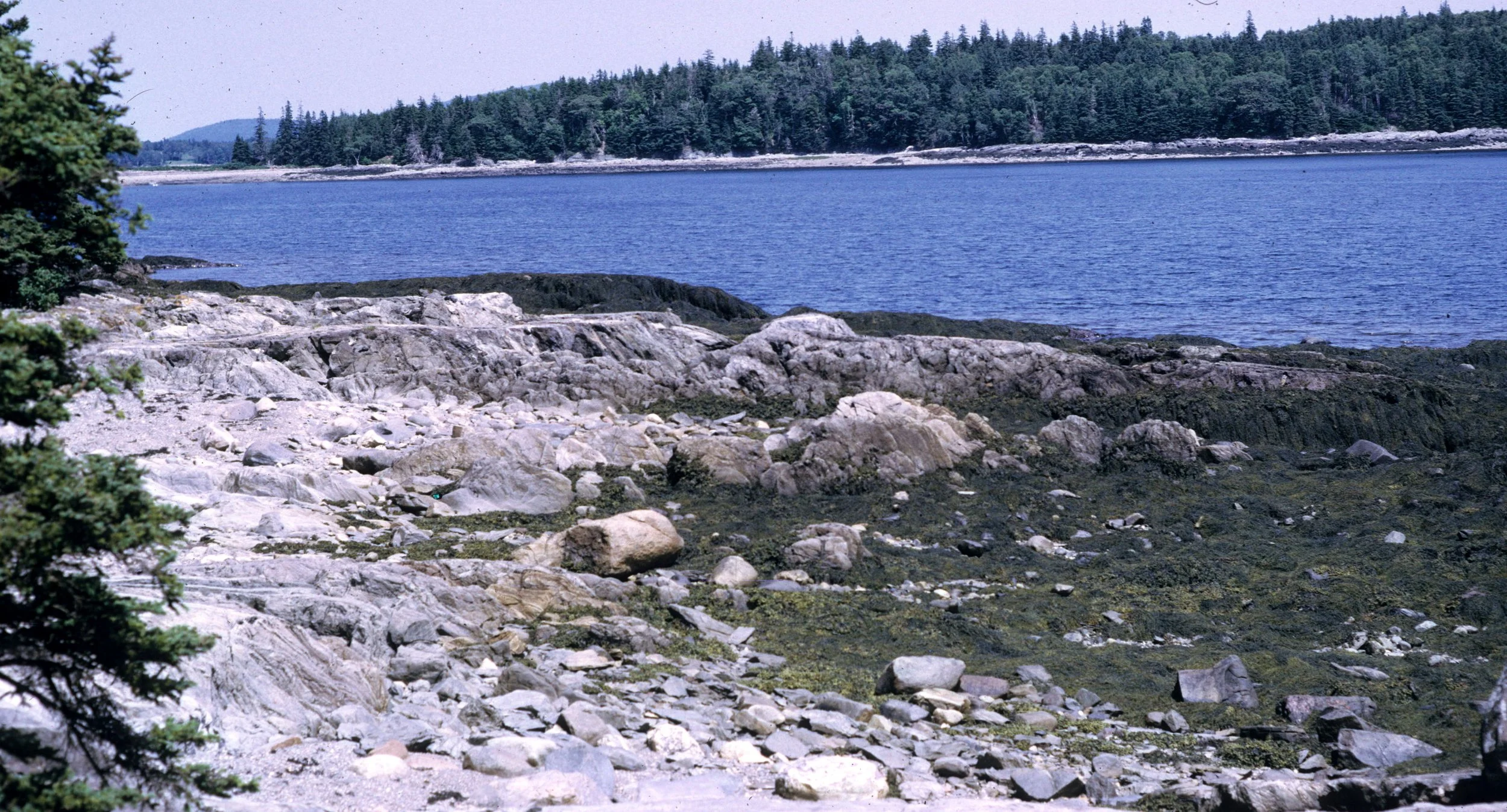1972 - SUMMER TRIP - MAINE - BAR HARBOR A.jpg