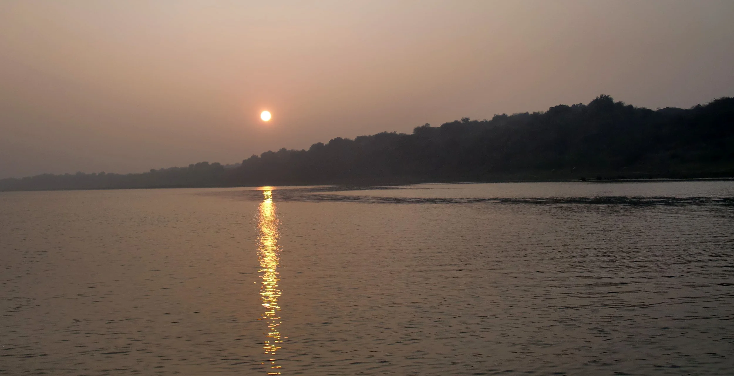 CHAMBAL RIVER SANCTUARY - INDIA (5).JPG