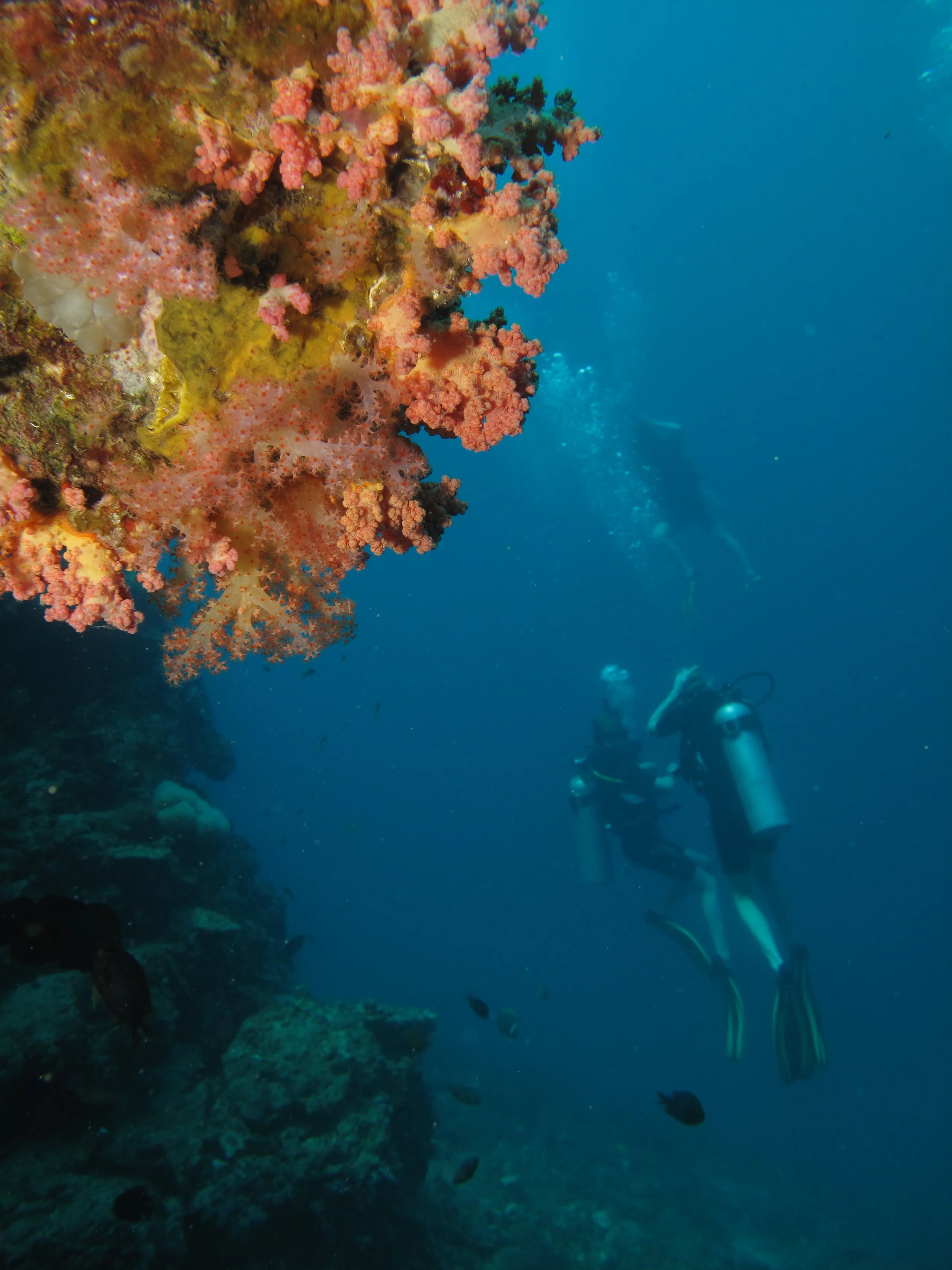 2013 Koh Lanta Dive Trip Koh Ha (65).jpg