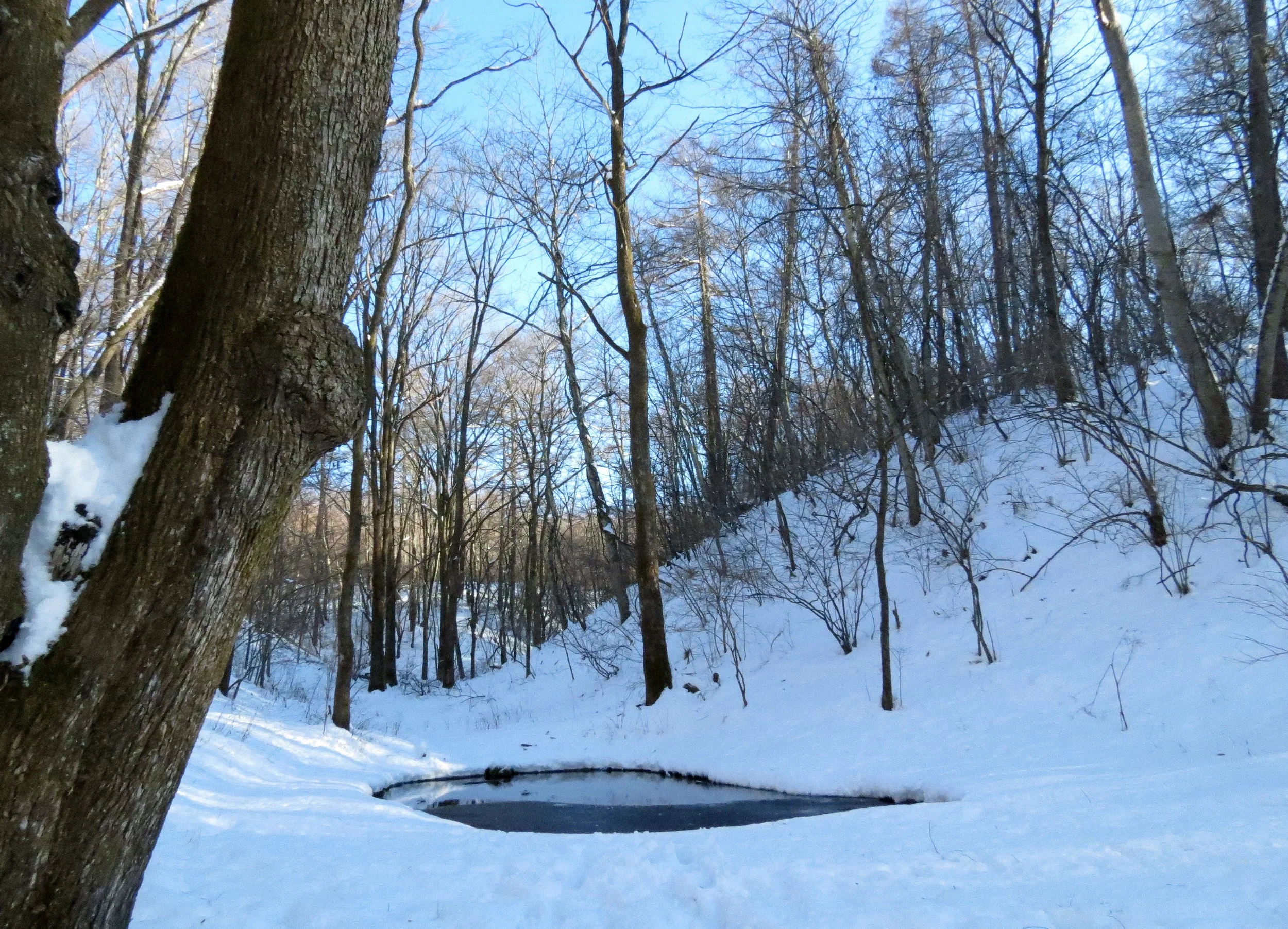 KARUIZAWA - PICCHIO TREK AND TALK (3).JPG