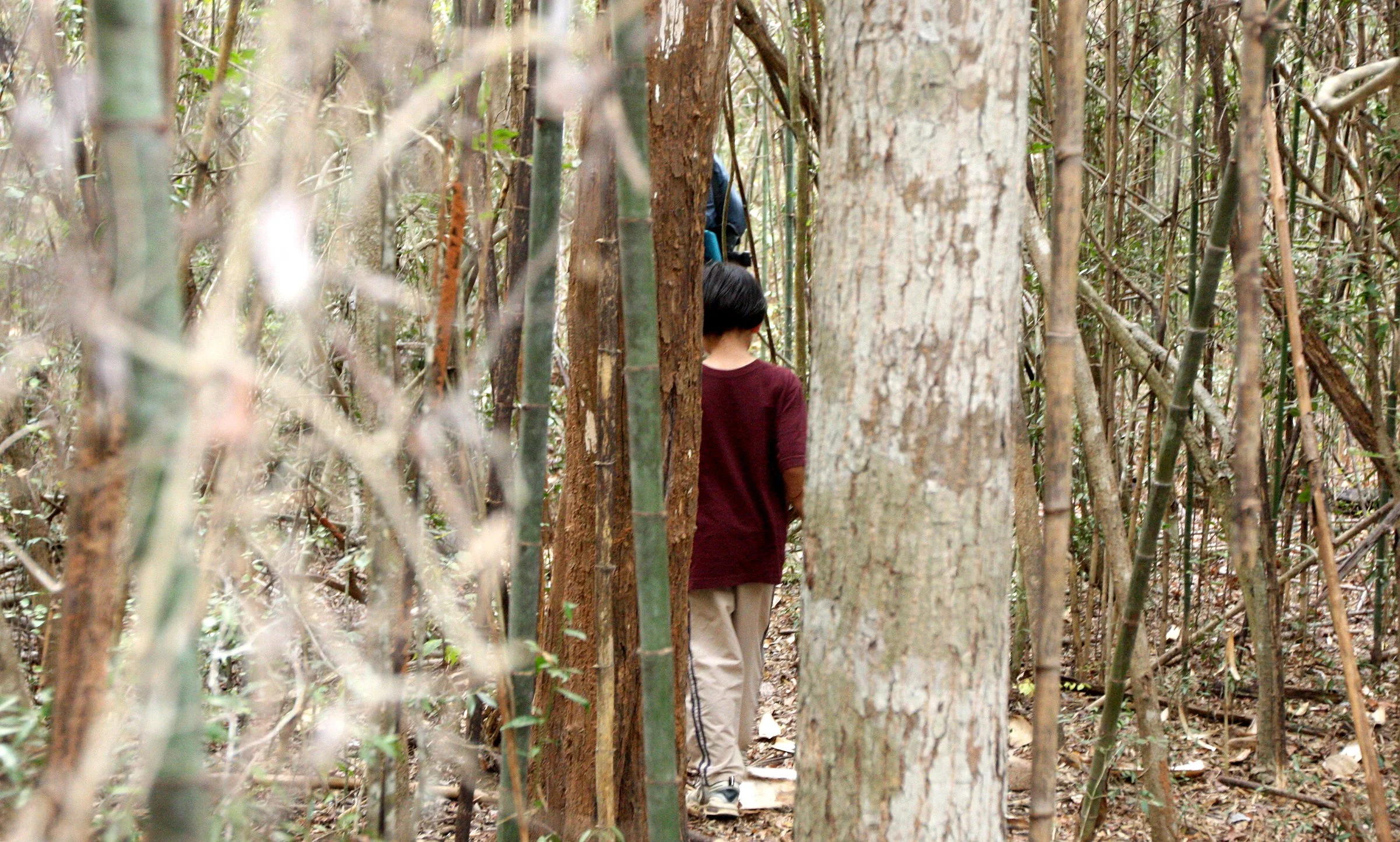 KIRINDY NATIONAL PARK MADAGASCAR - TREKKING THE FOREST (12).JPG