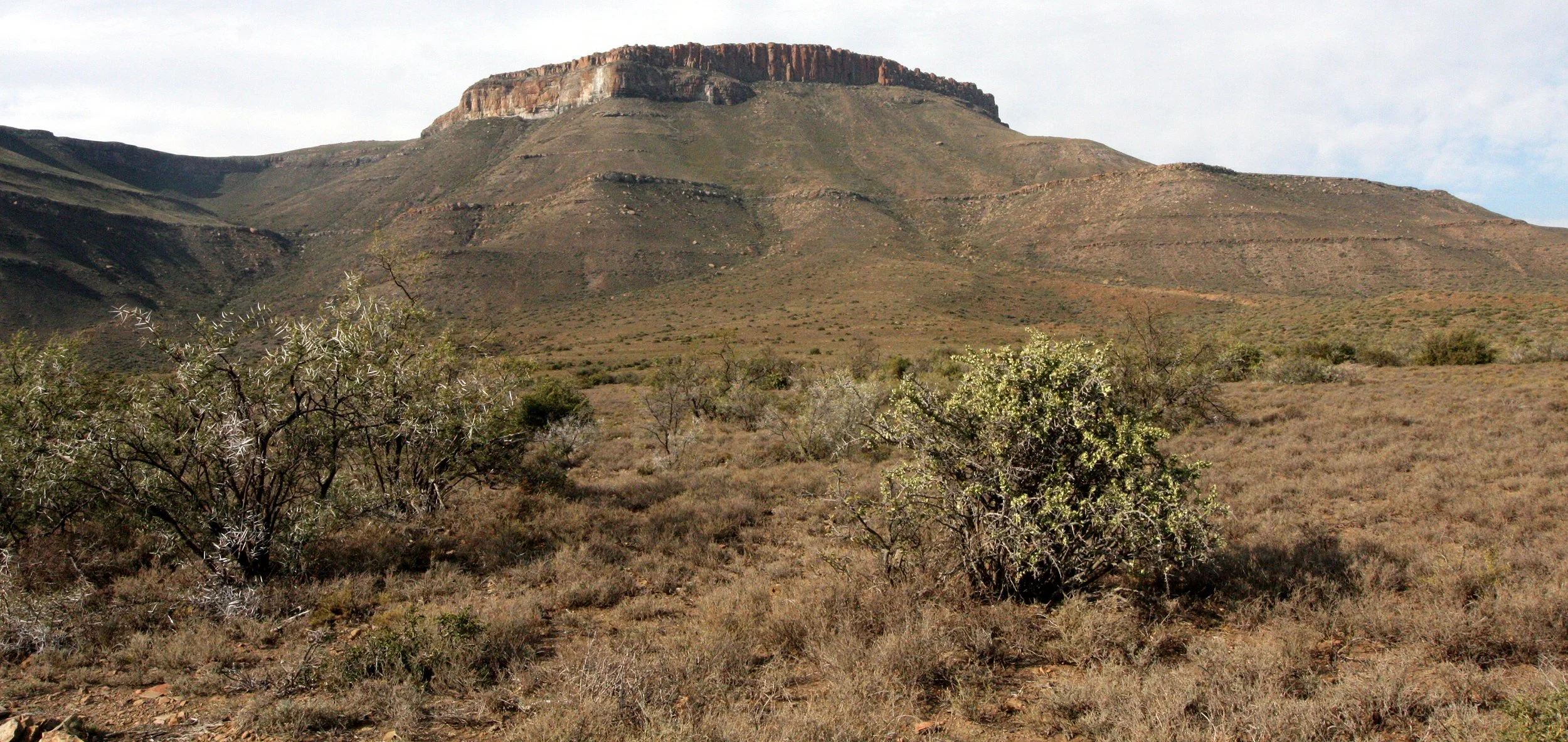 KAROO NATIONAL PARK SOUTH AFRICA - VIEWS (15).JPG