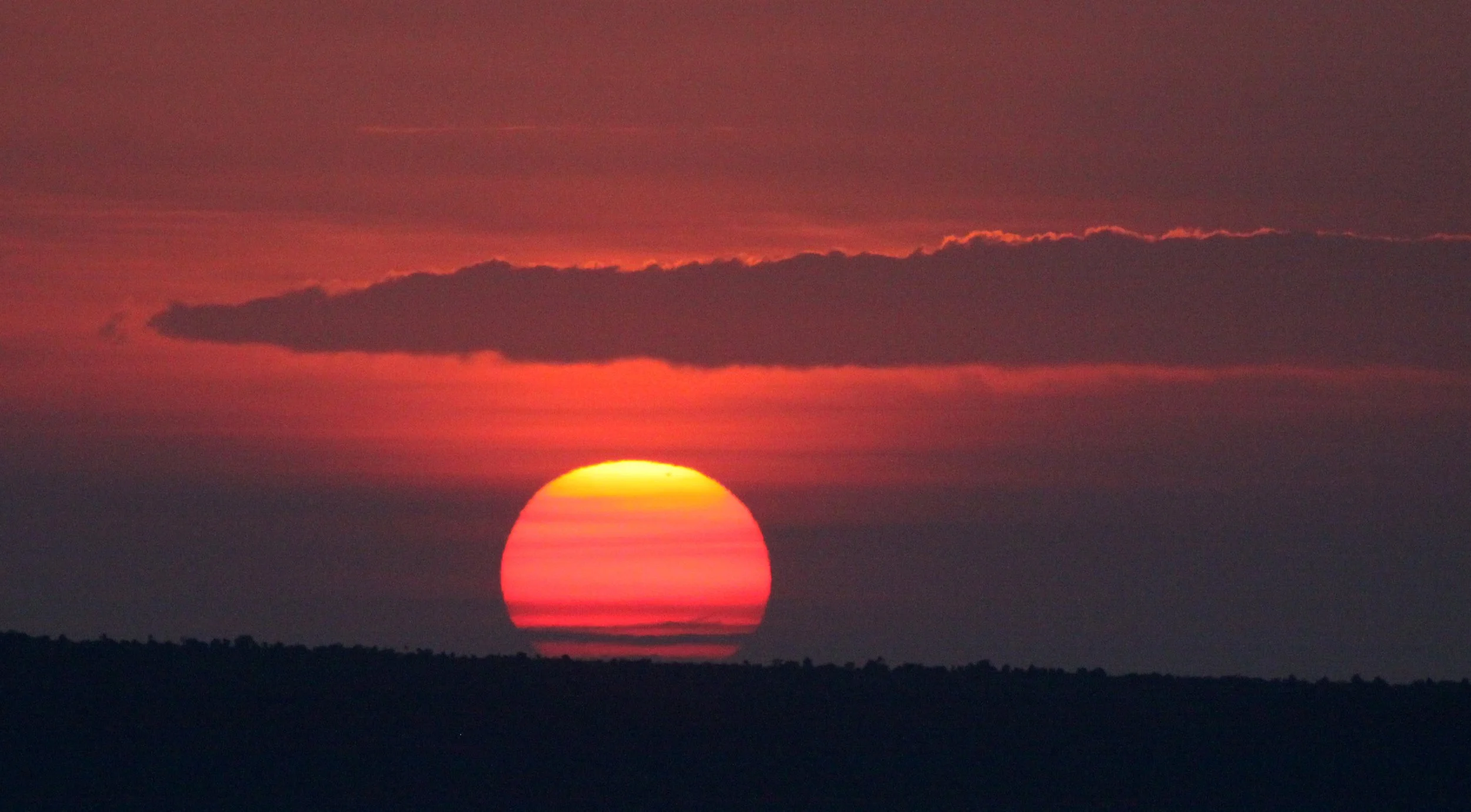 MASAI MARA NATIONAL PARK KENYA (191).JPG