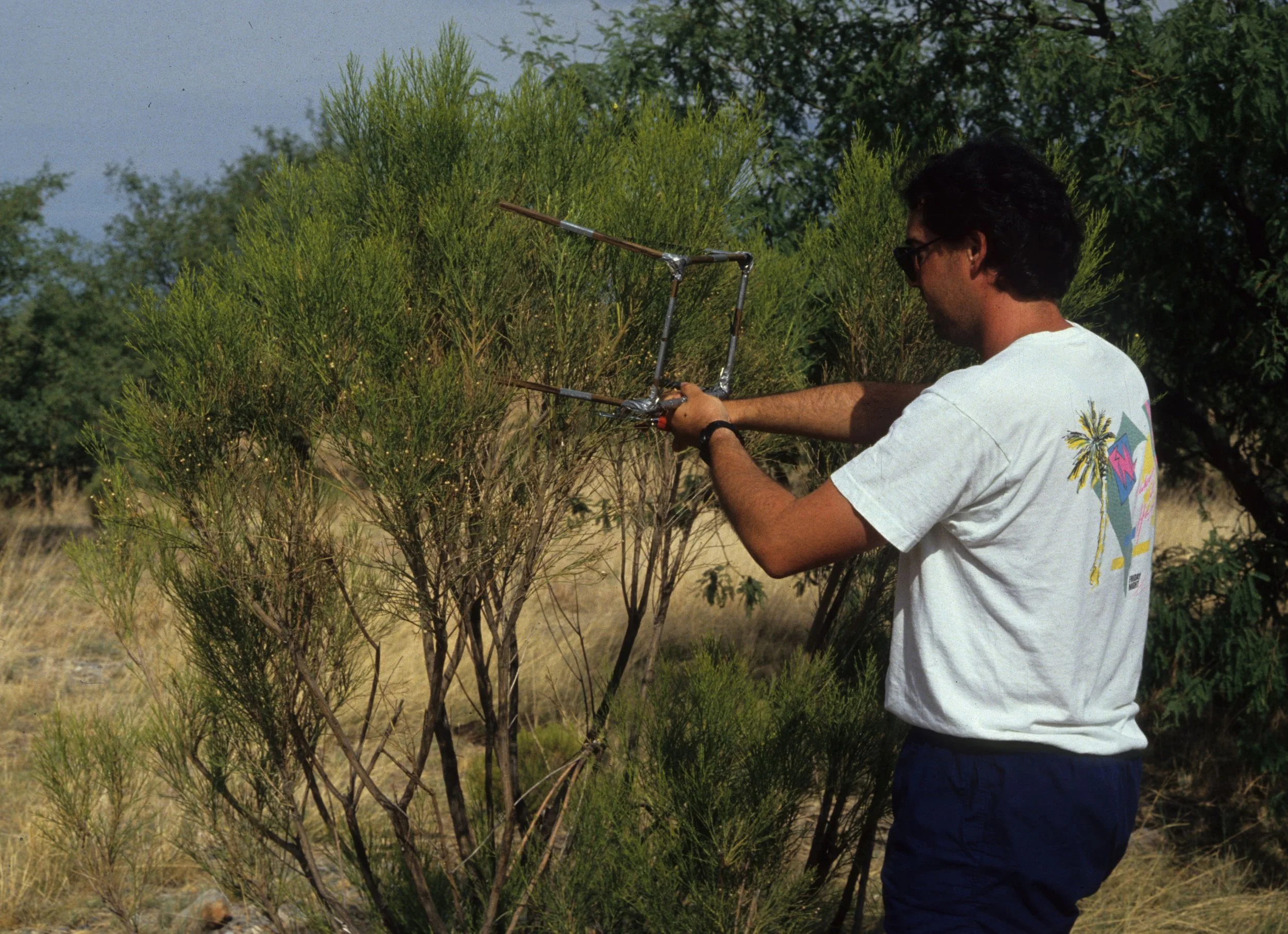 ARIZONA - MADERA CANYON - RESEARCH - DATA COLLECTION VW.jpg