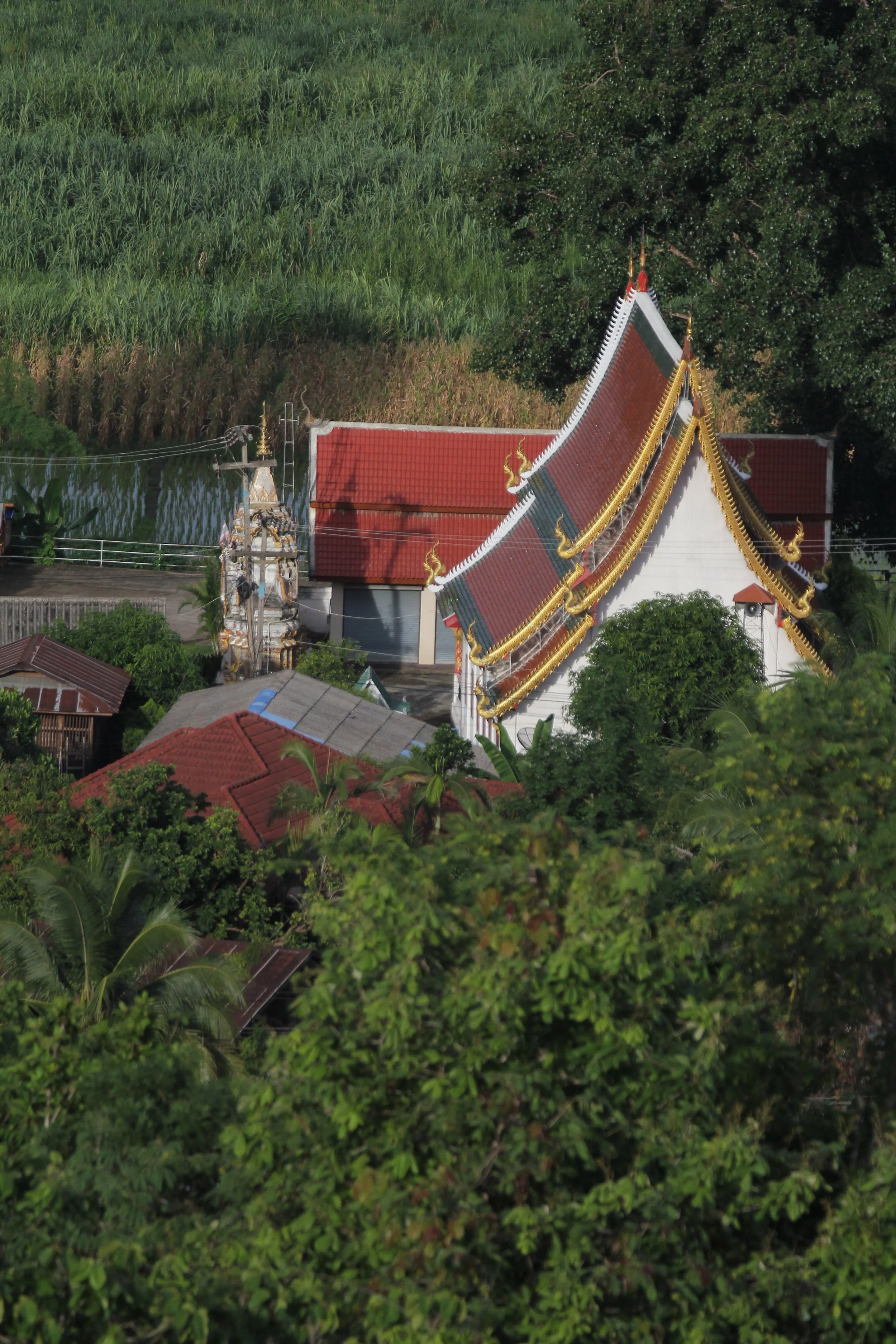 2020 7-8, 9, 10 - Omkoi Area, Chiang Mai - North Thailand Roadtrip (117).JPG