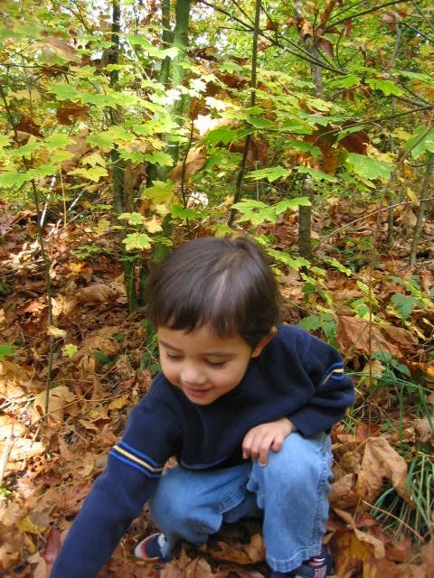 2005-10-22 WALK IN TO OLYMPIC RAINFOREST (4).JPG