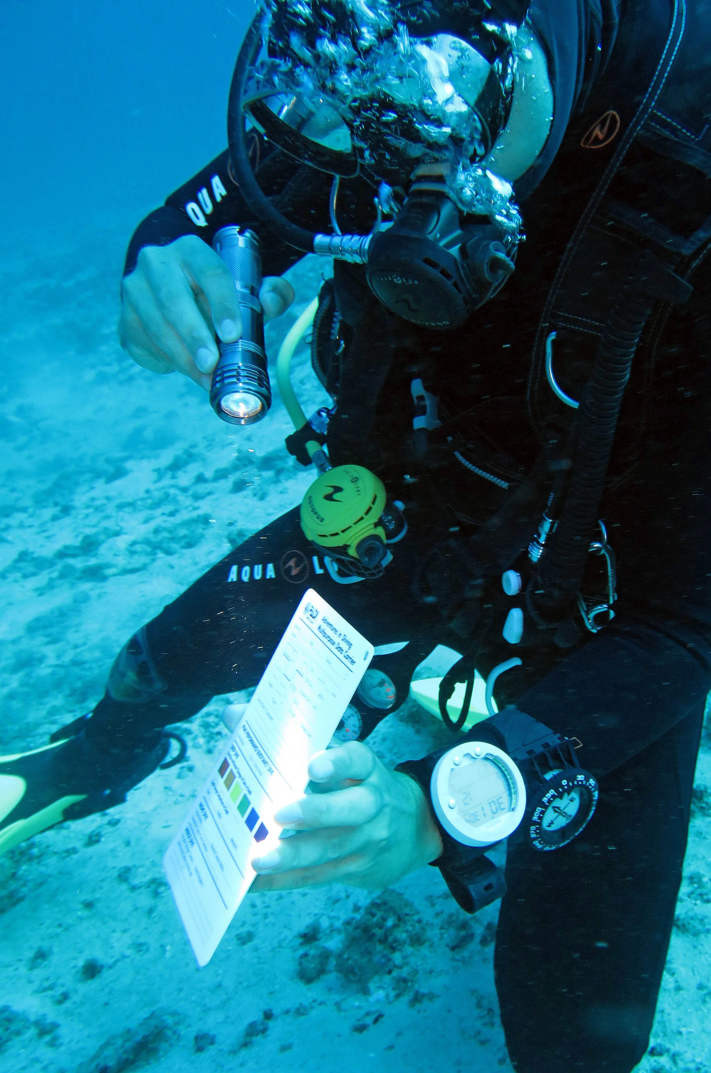 2014 Similan Islands Marine Park Thailand ISB Dive Trip (95).JPG