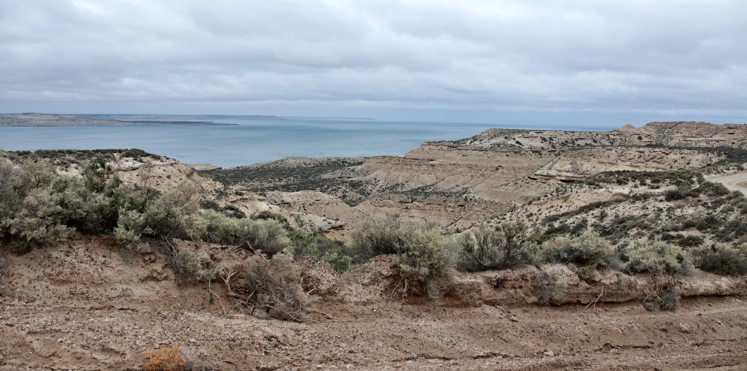 Valdes Peninsula, Chubut Province, Argentina (17).jpg