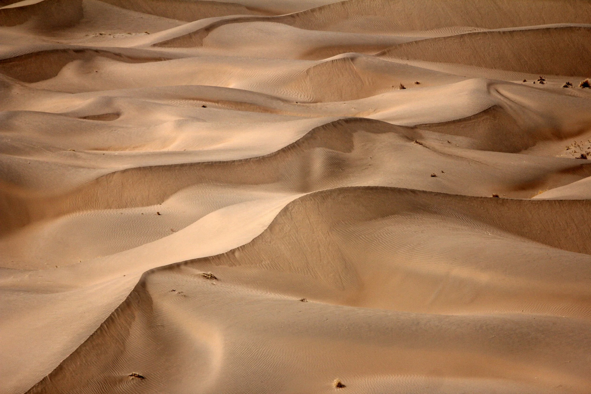 GANSU - DUNES SOUTH OF DUNHUANG - CHINA (30).JPG