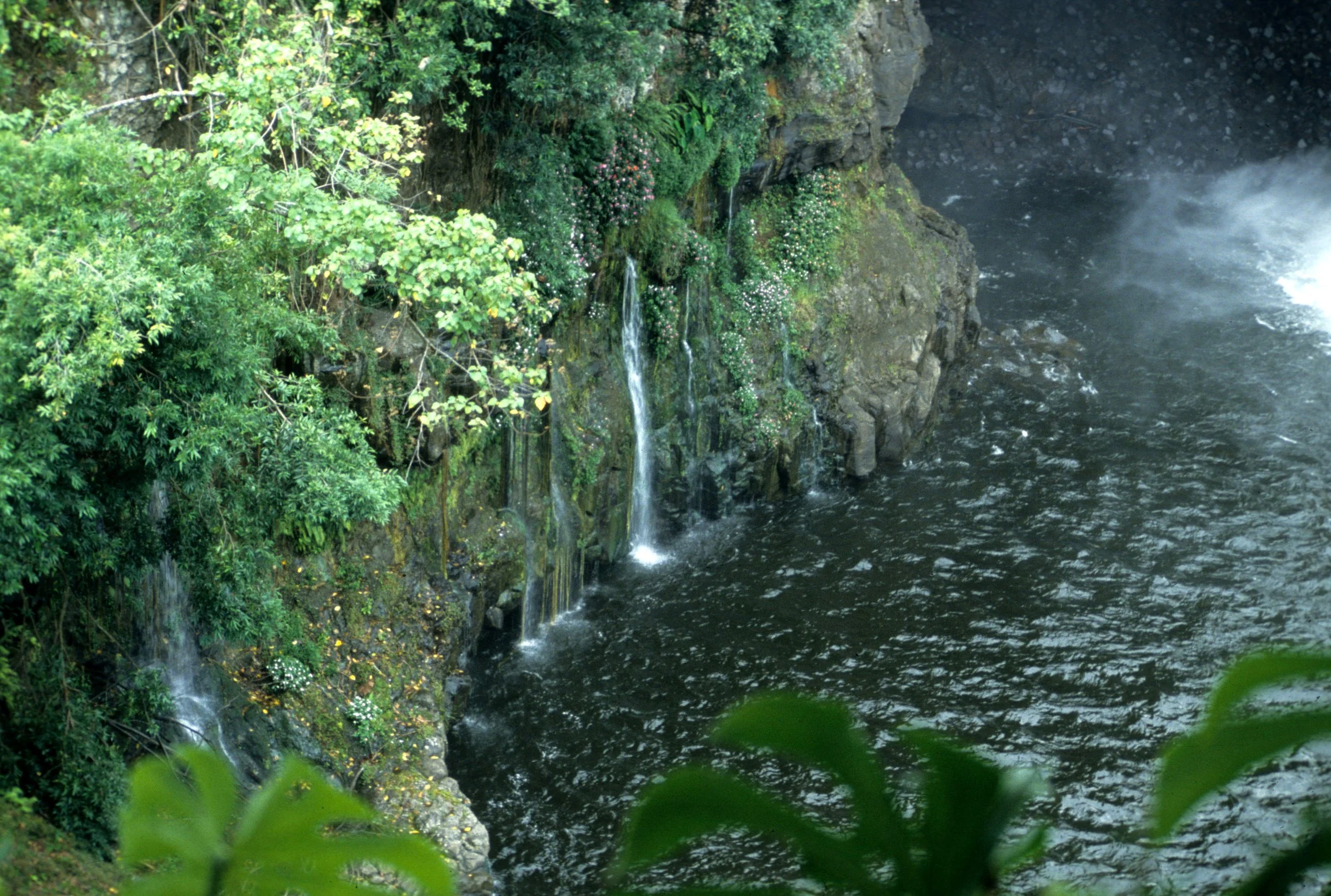 HAWAII - HAWAII - PAINT POT FALLS (5).jpg