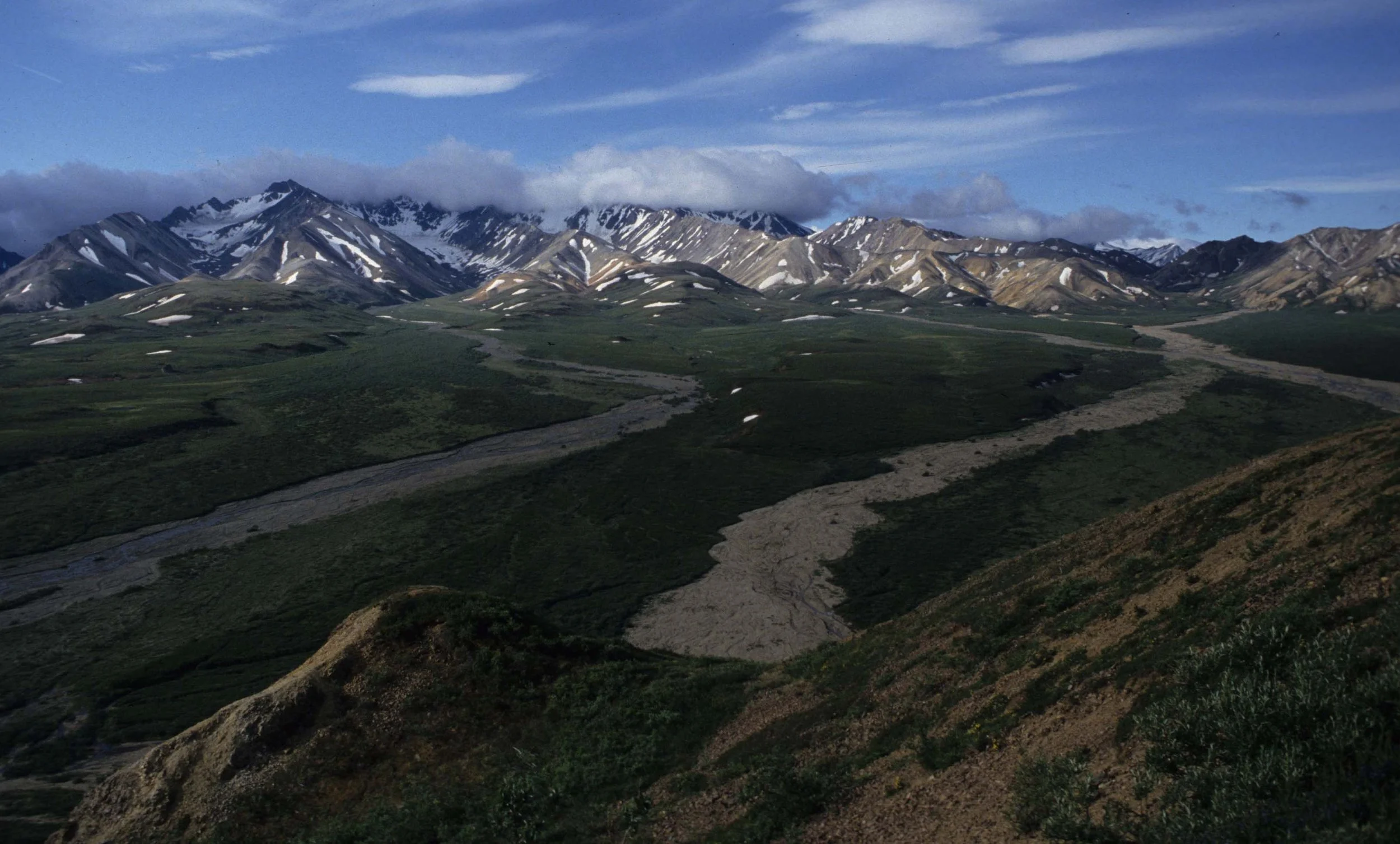 ALASKA - DENALI NATIONAL PK VIEW.jpg