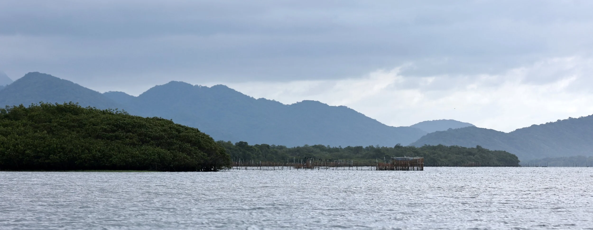 Superagüi National Park