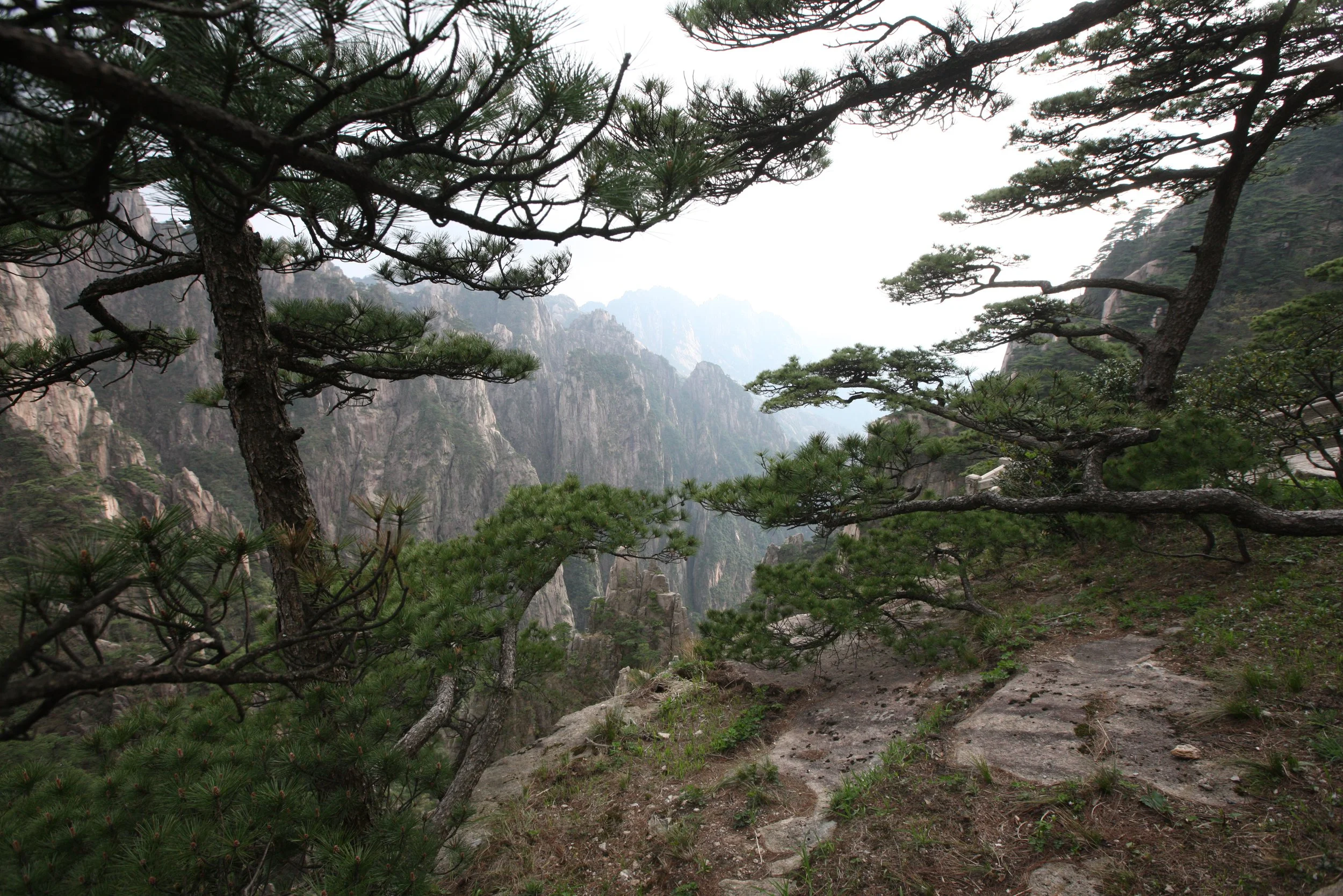 HUANGSHAN NATIONAL PARK ANHUI PROVINCE CHINA (142).JPG