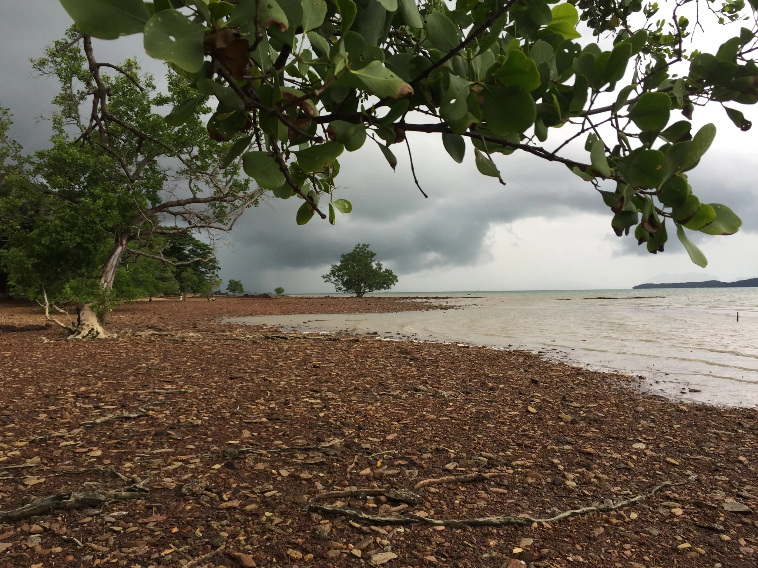 2015 Koh Lanta Garden & Nature (219).JPG