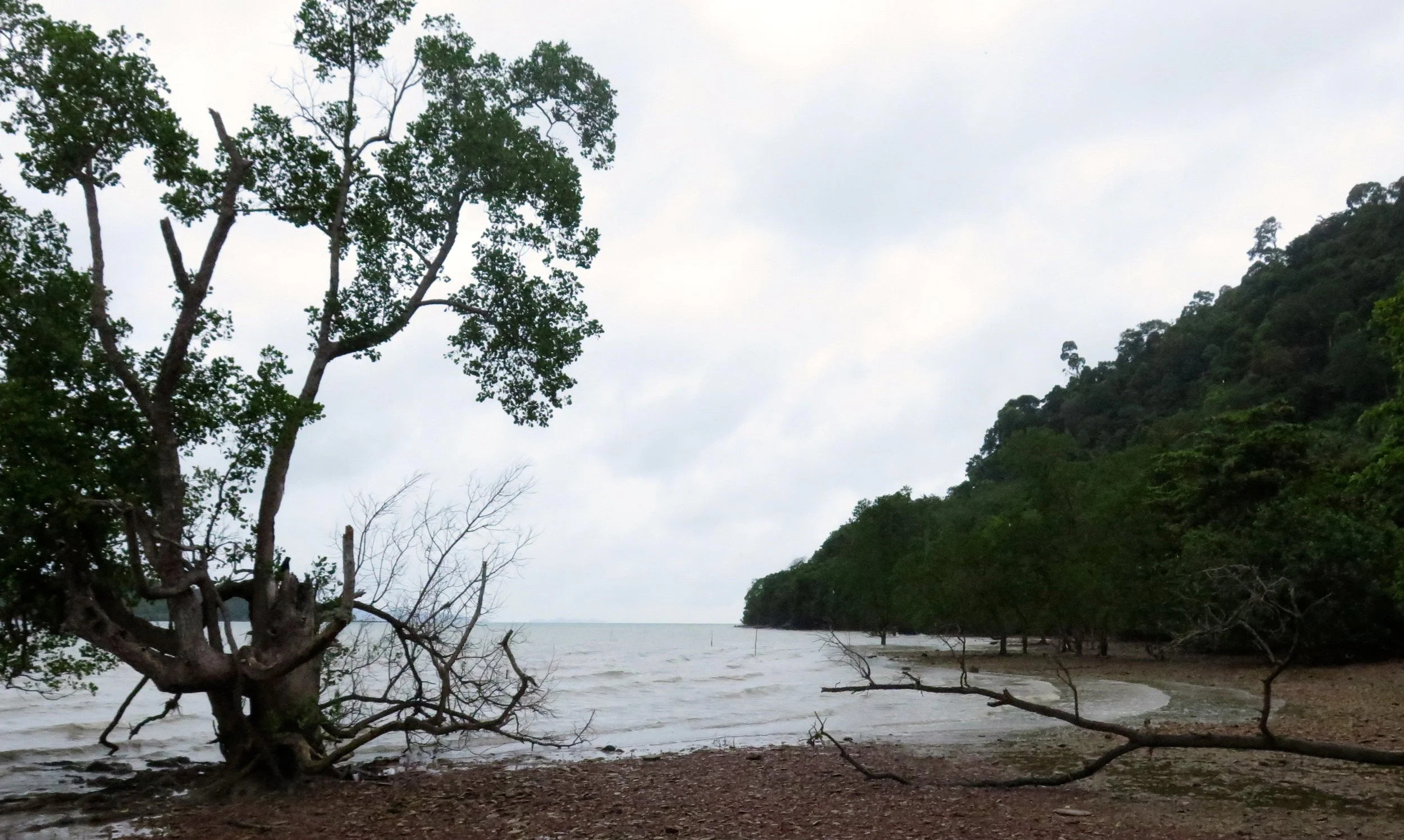 2015 Lanta Build (78).JPG