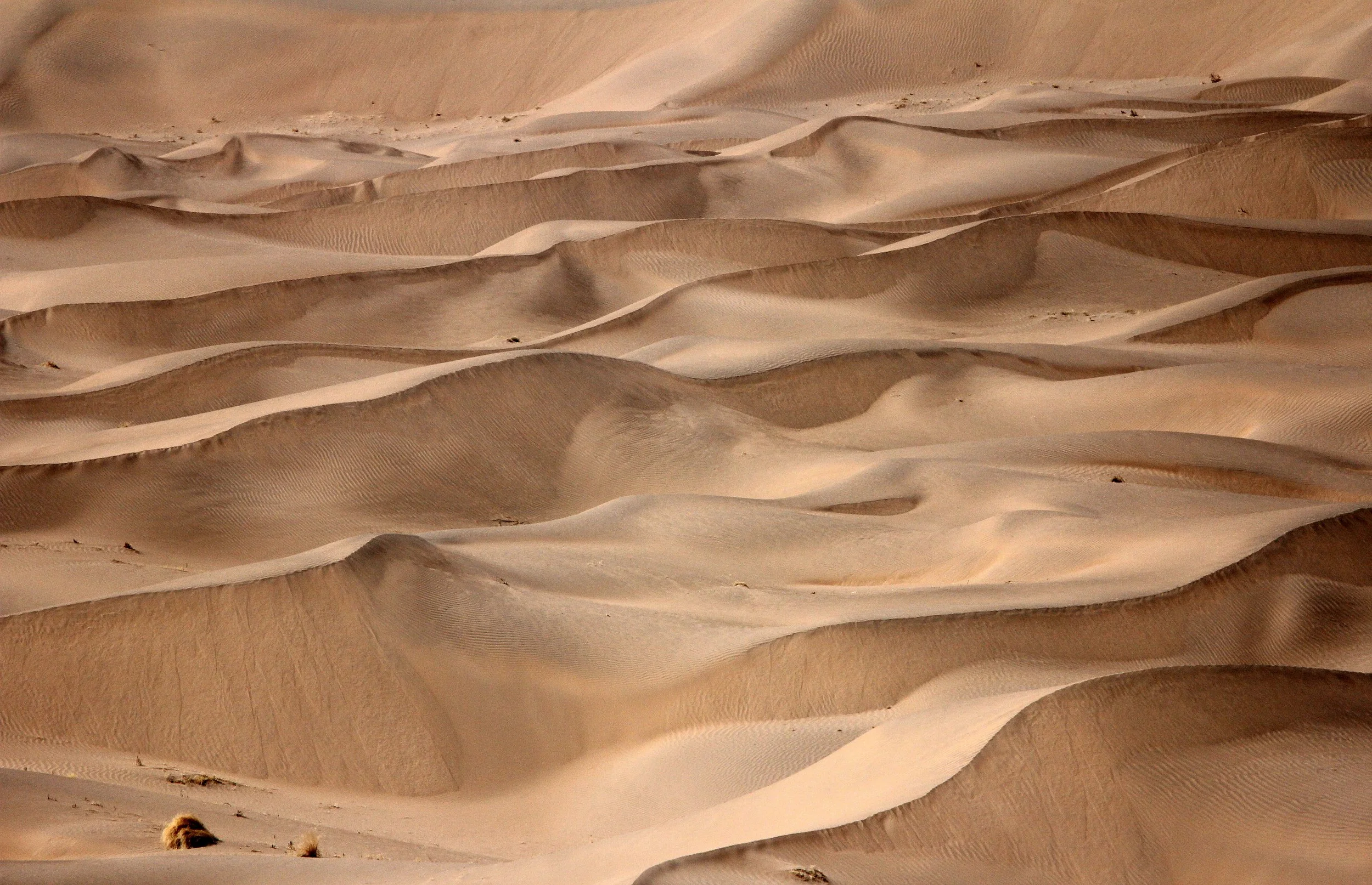GANSU - DUNES SOUTH OF DUNHUANG - CHINA (25).JPG