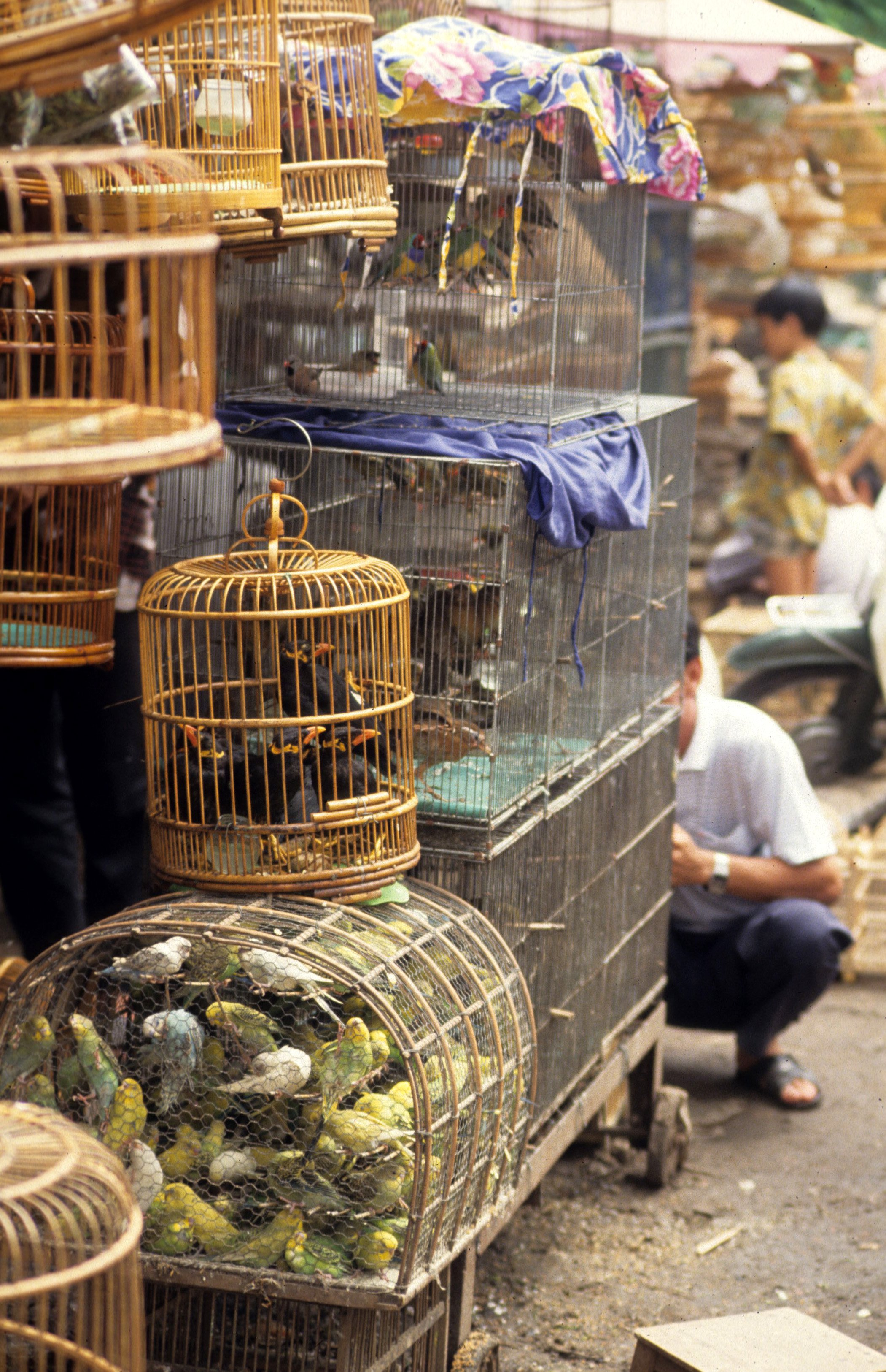 SAIGON - PET MARKET (3).jpg