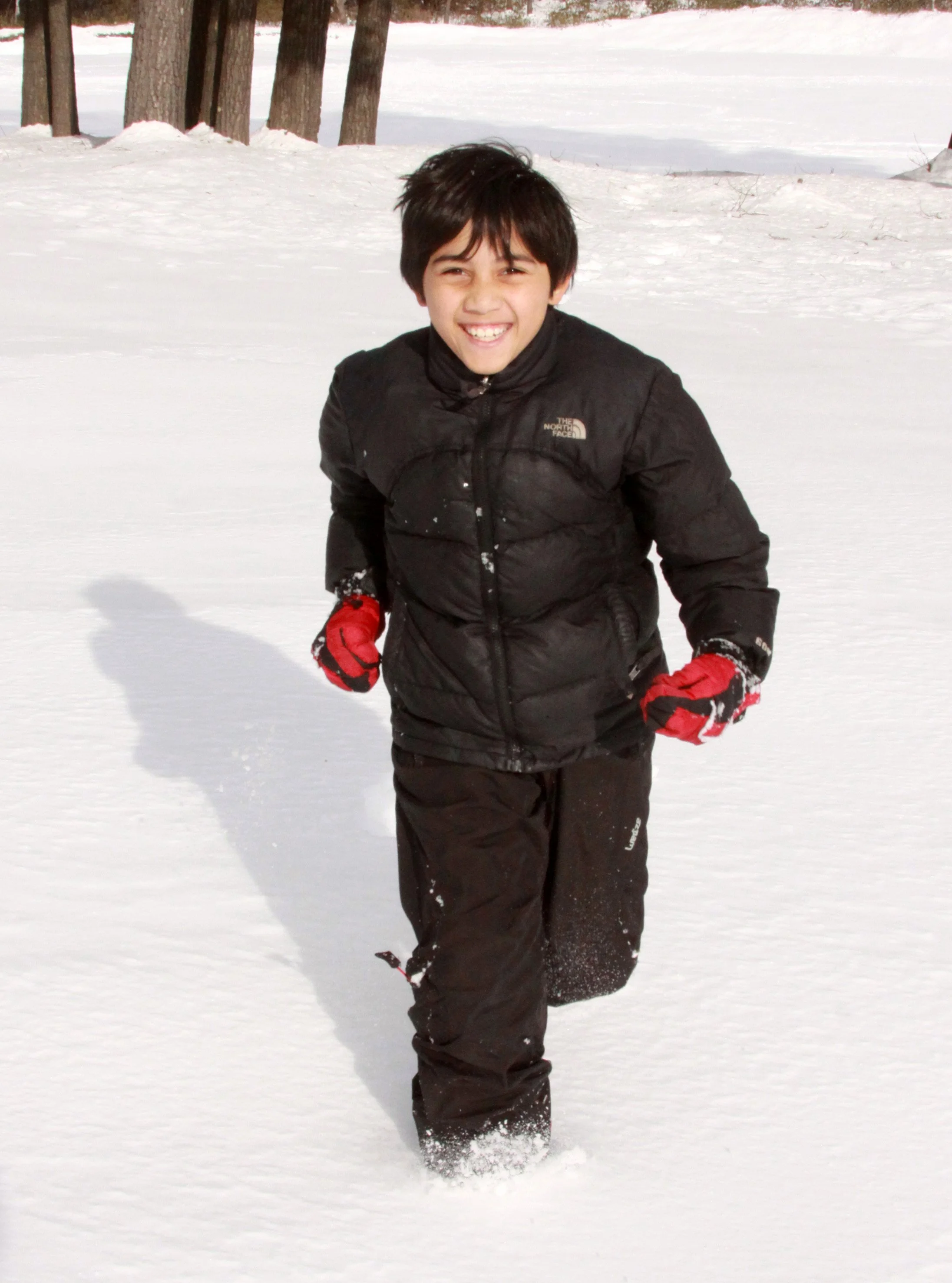 MOUNT ASAMA - JOSHIN'ETSUKOGEN NATIONAL PARK JAPAN (54).JPG