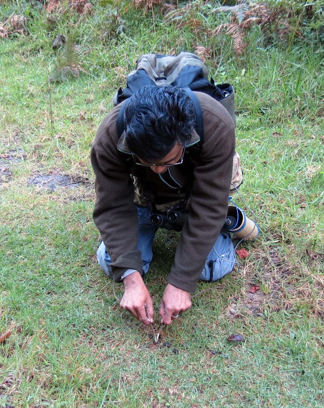 PAMPADUM SHOLA NATIONAL PARK INDIA - VATTAVADA (41).JPG