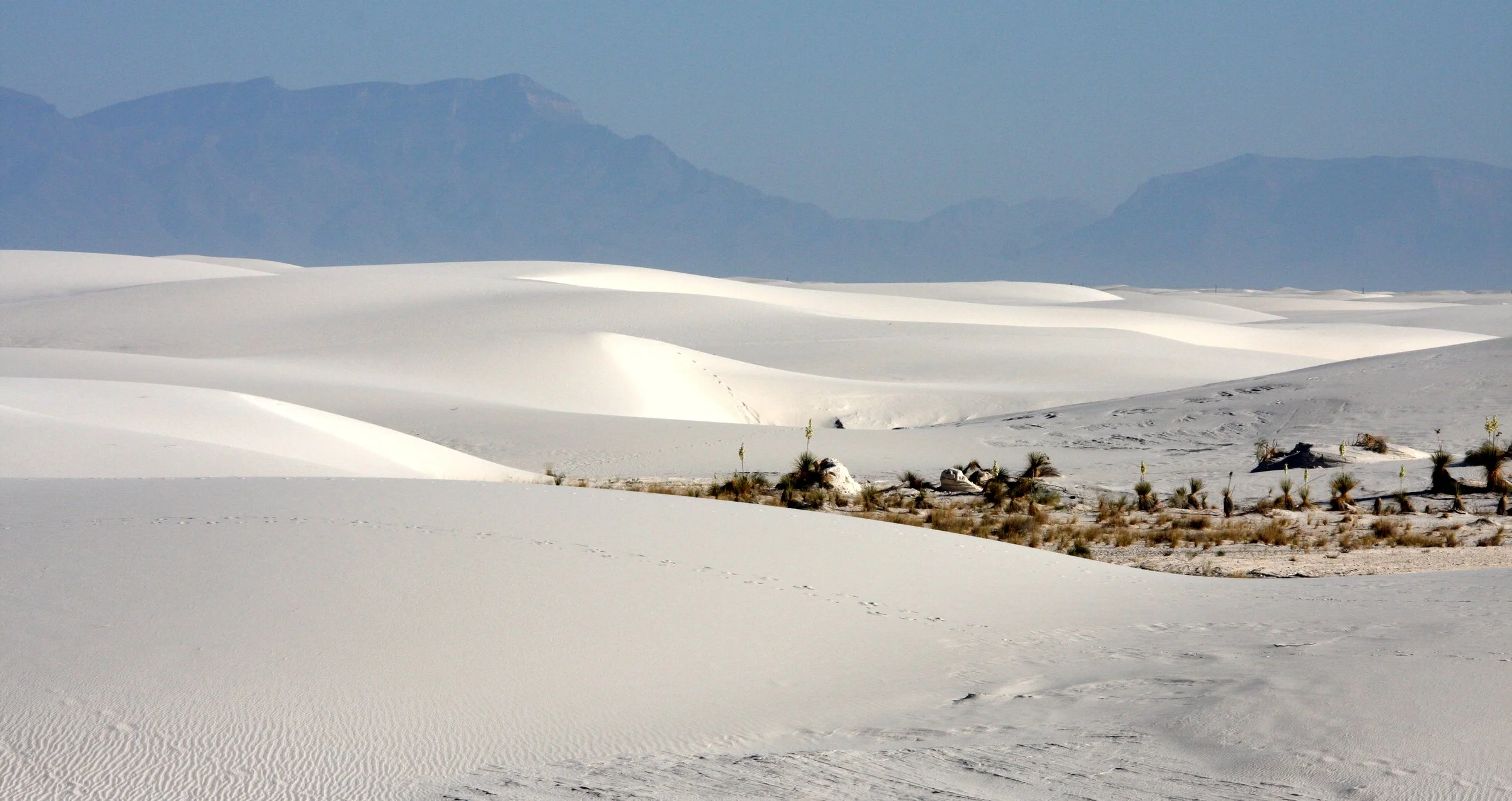 WHITE SANDS NATIONAL MONUMENT - JUNE 2010 (9).JPG