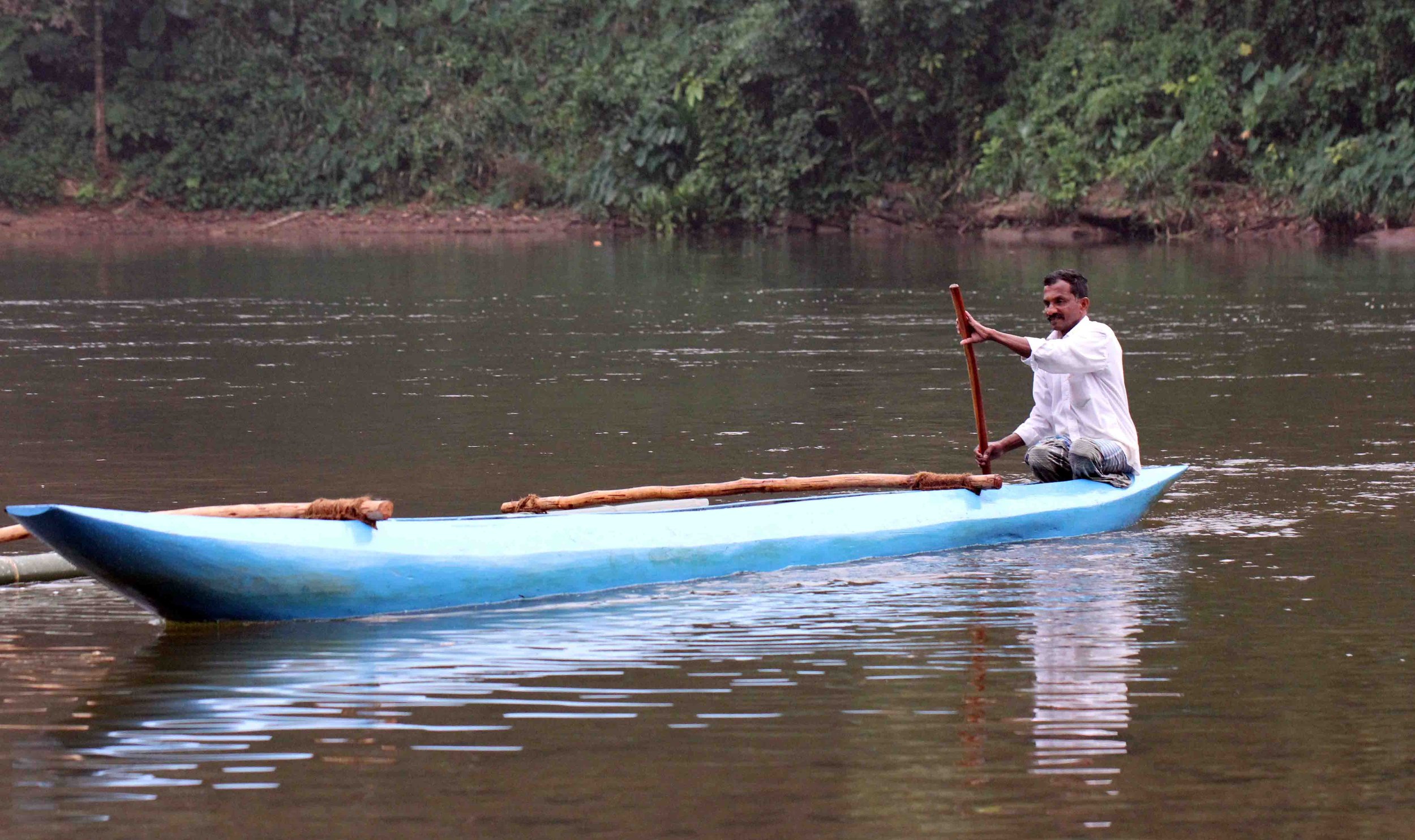 KITULGALA FOREST PRESERVE, SRI LANKA (106).JPG