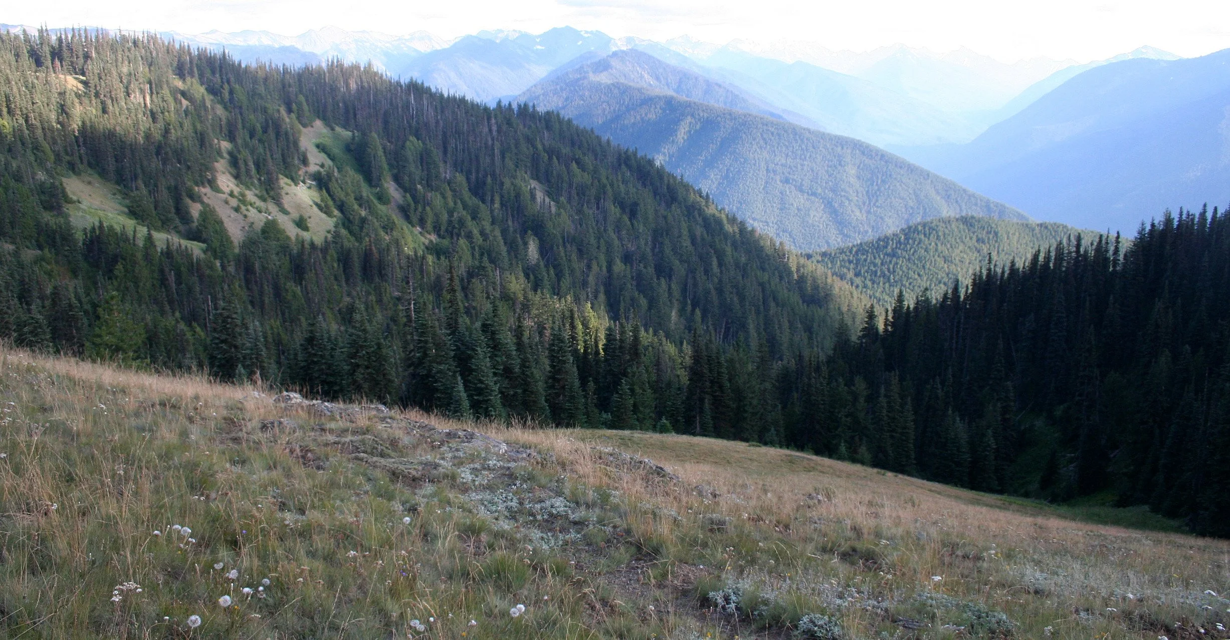 HURRICANE RIDGE - VIEW FROM.JPG
