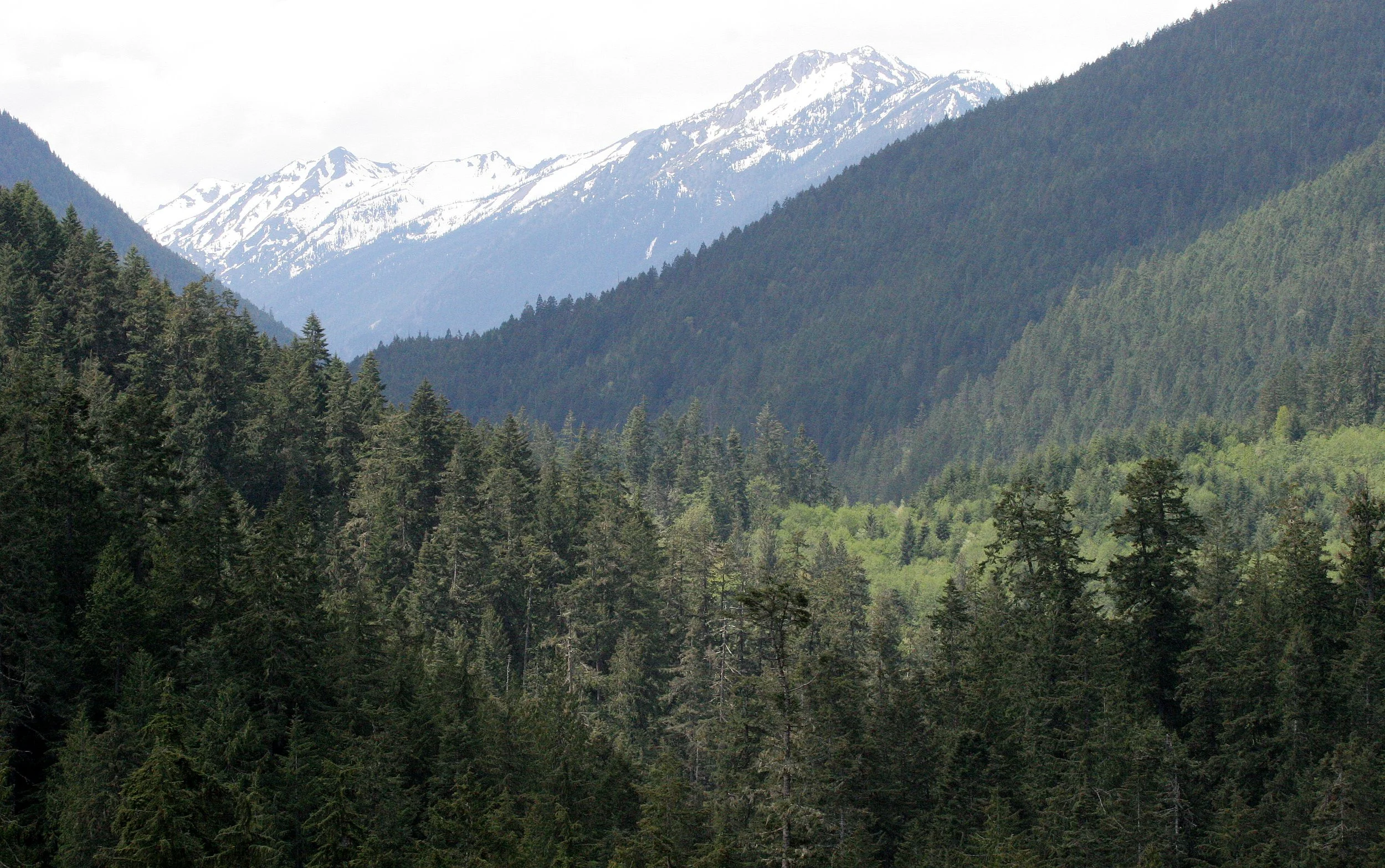 DUNGENESS RIVER WATERSHED - DUNGENESS TRAIL AND VIEWPOINTS.JPG