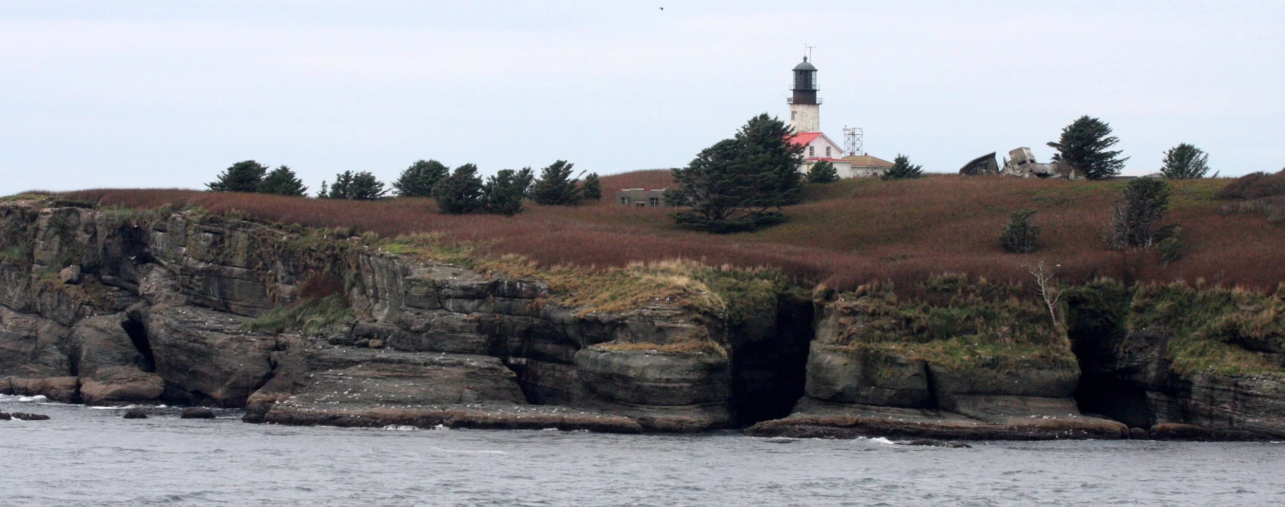CAPE FLATTERY - TRAIL TO CAPE (9).JPG