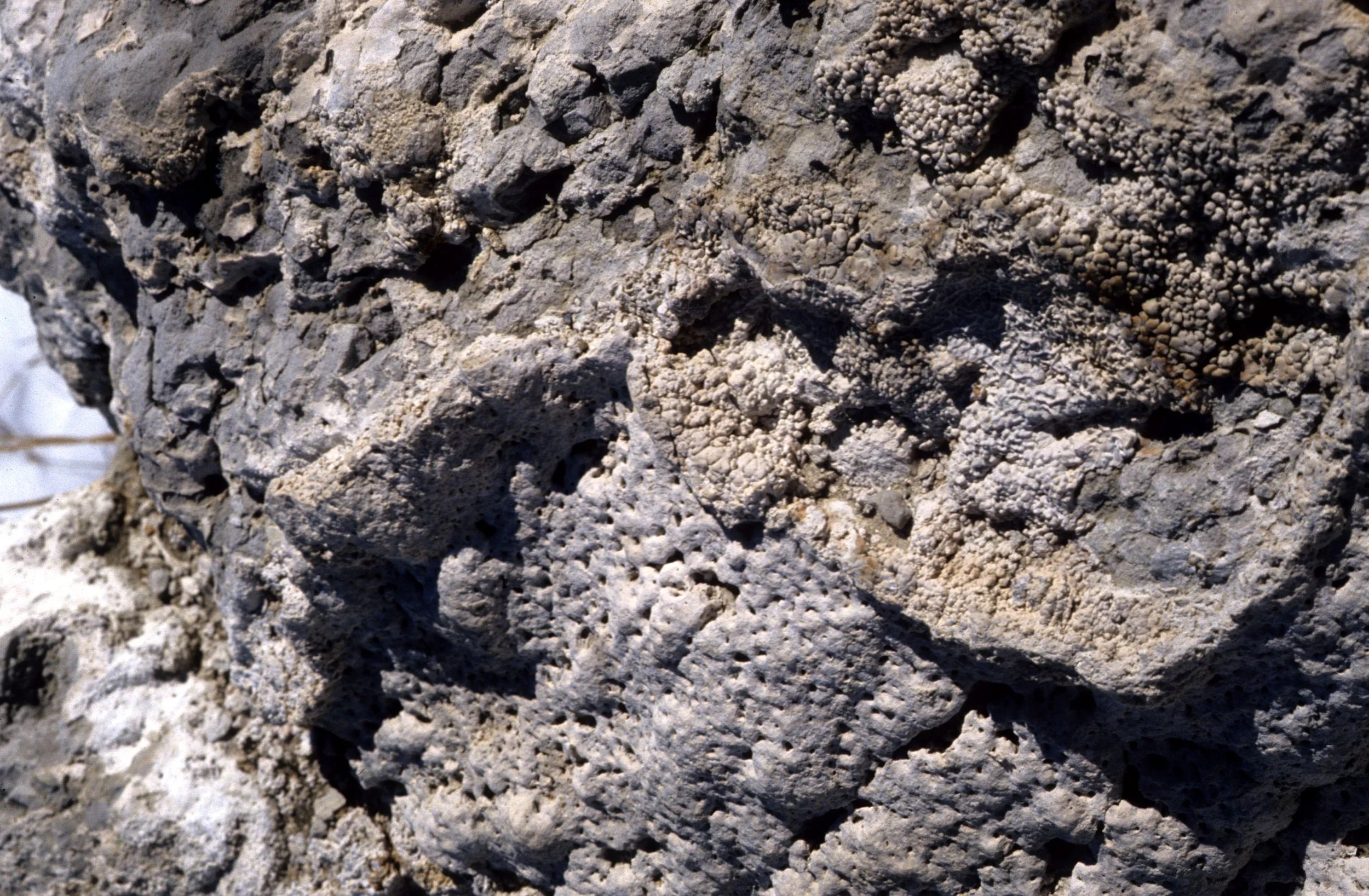 CALIFORNIA - MONO LAKE - CACLIUM CARBONATE DEPOSITS B (3).jpg