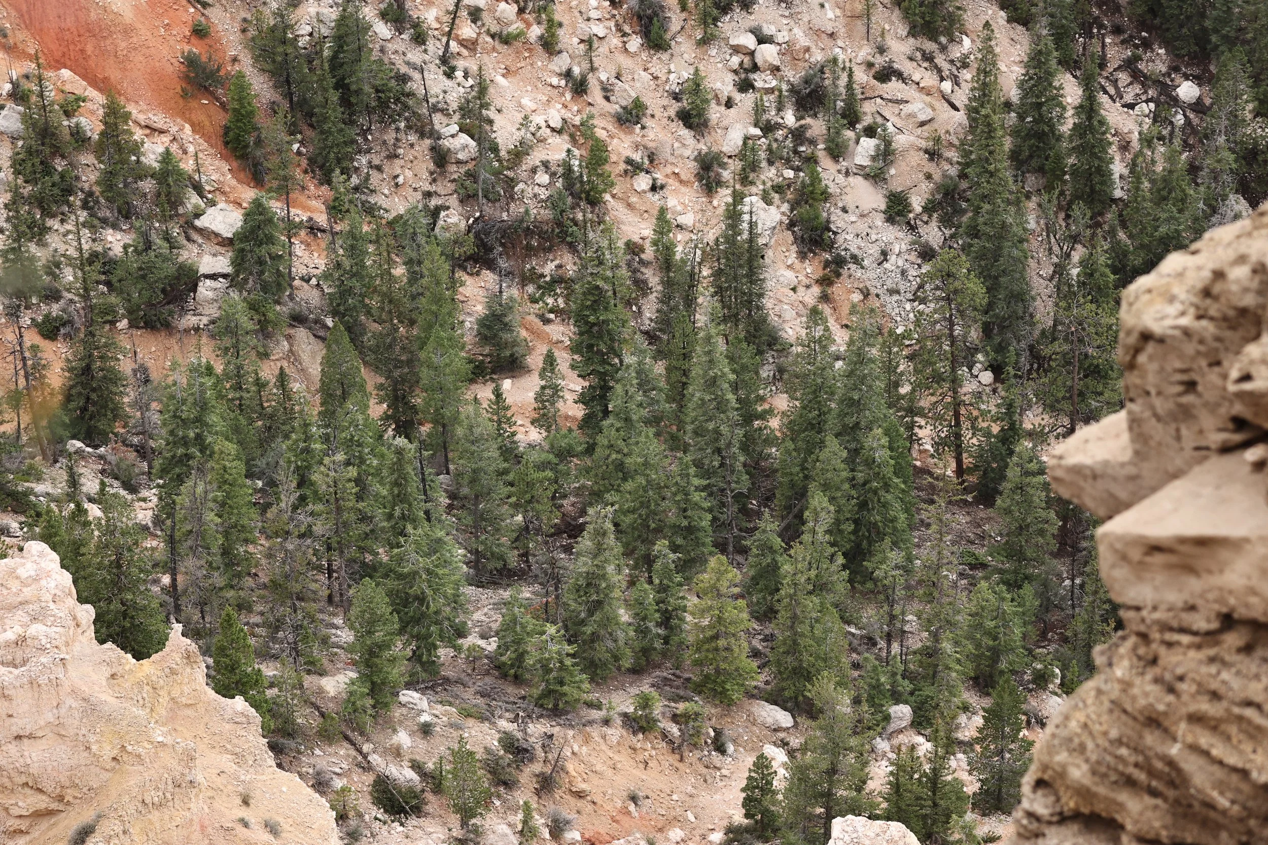 BRYCE CANYON UTAH 2022 (91).JPG