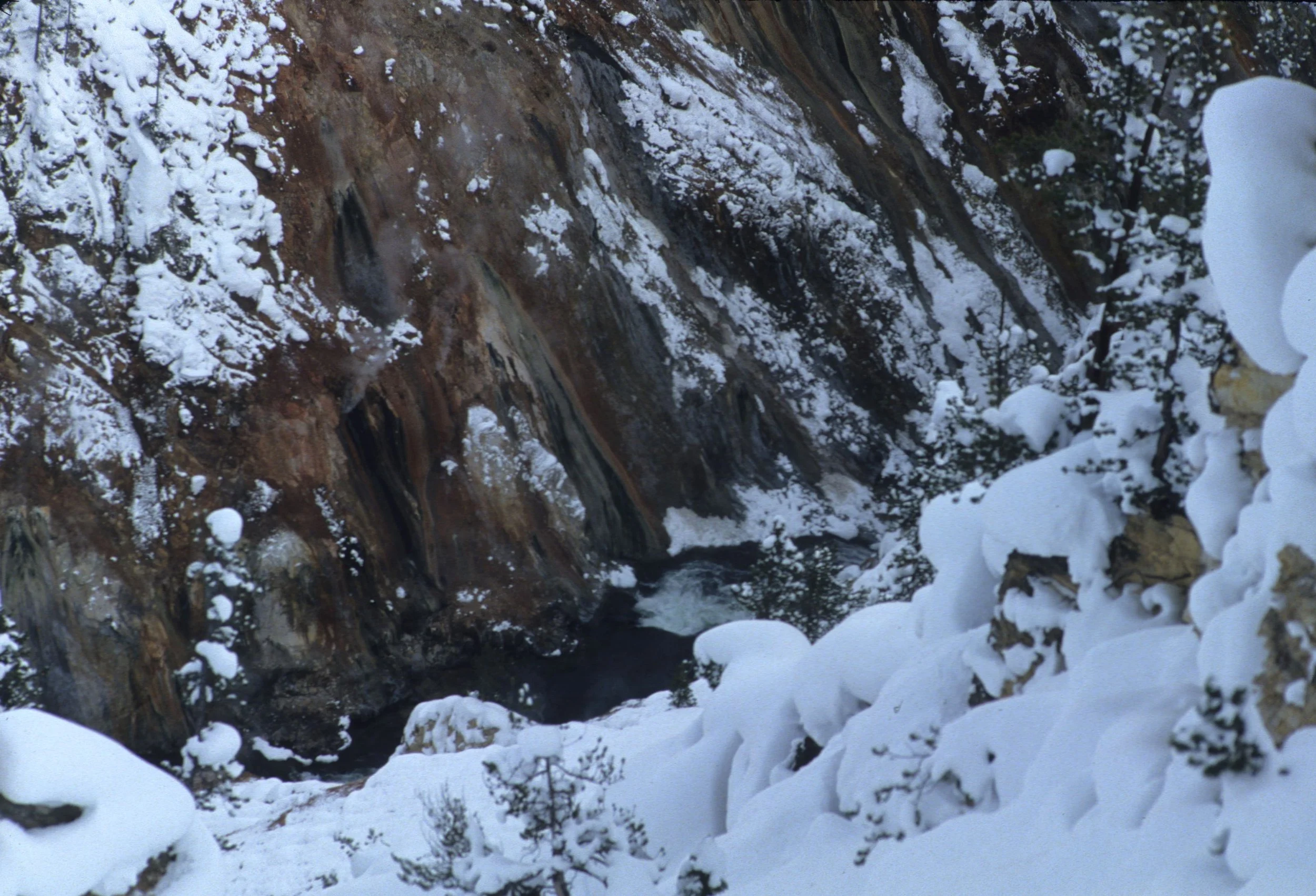 YELLOWSTONE IN WINTER X.jpg