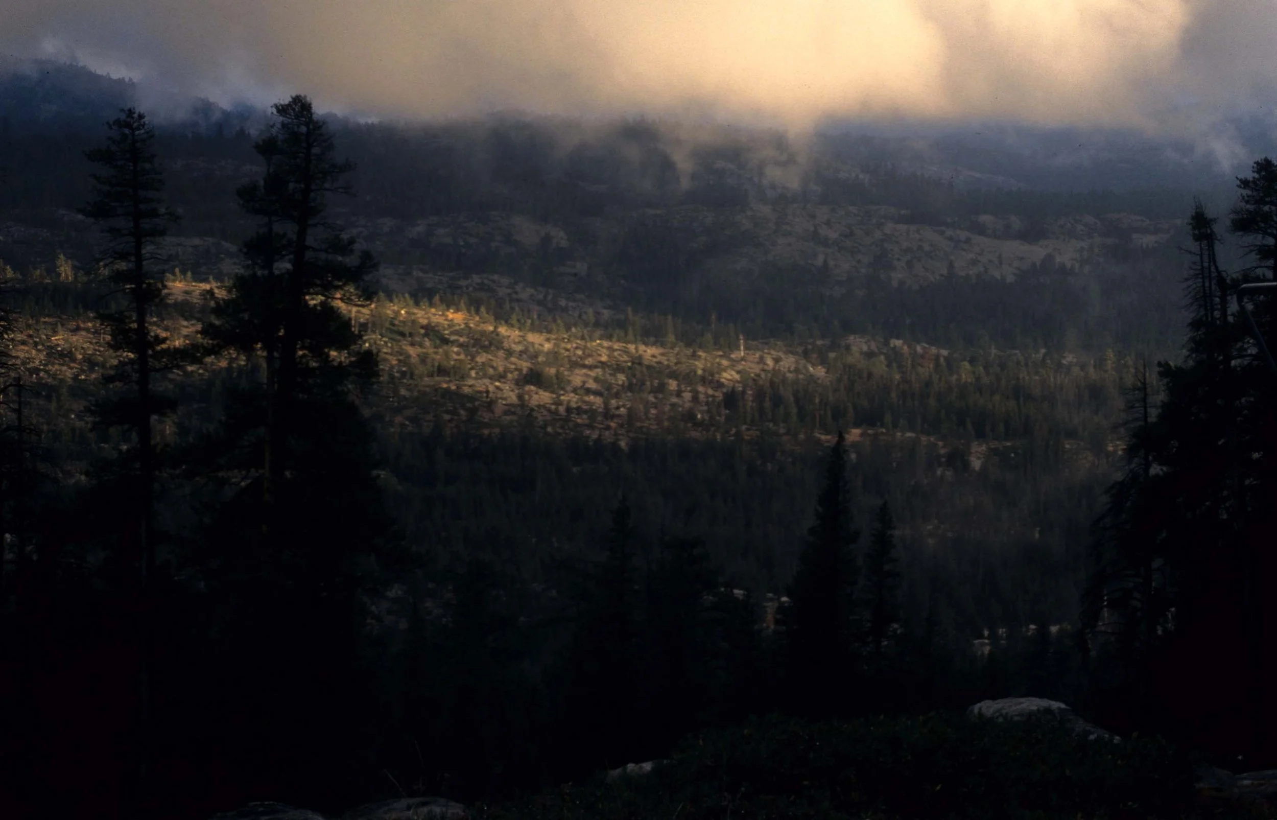 CALIFORNIA - SIERRA NEVADA MOUNTAINS (6).jpg
