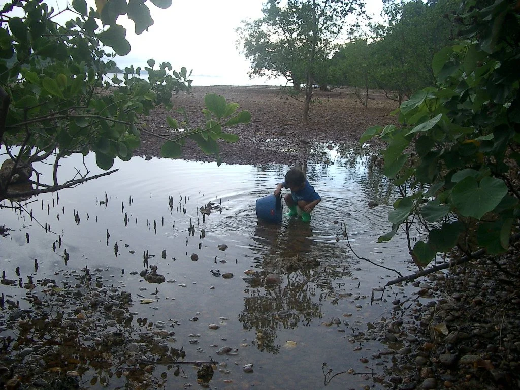 KOH LANTA - PROPERTY - 2004 (41).JPG
