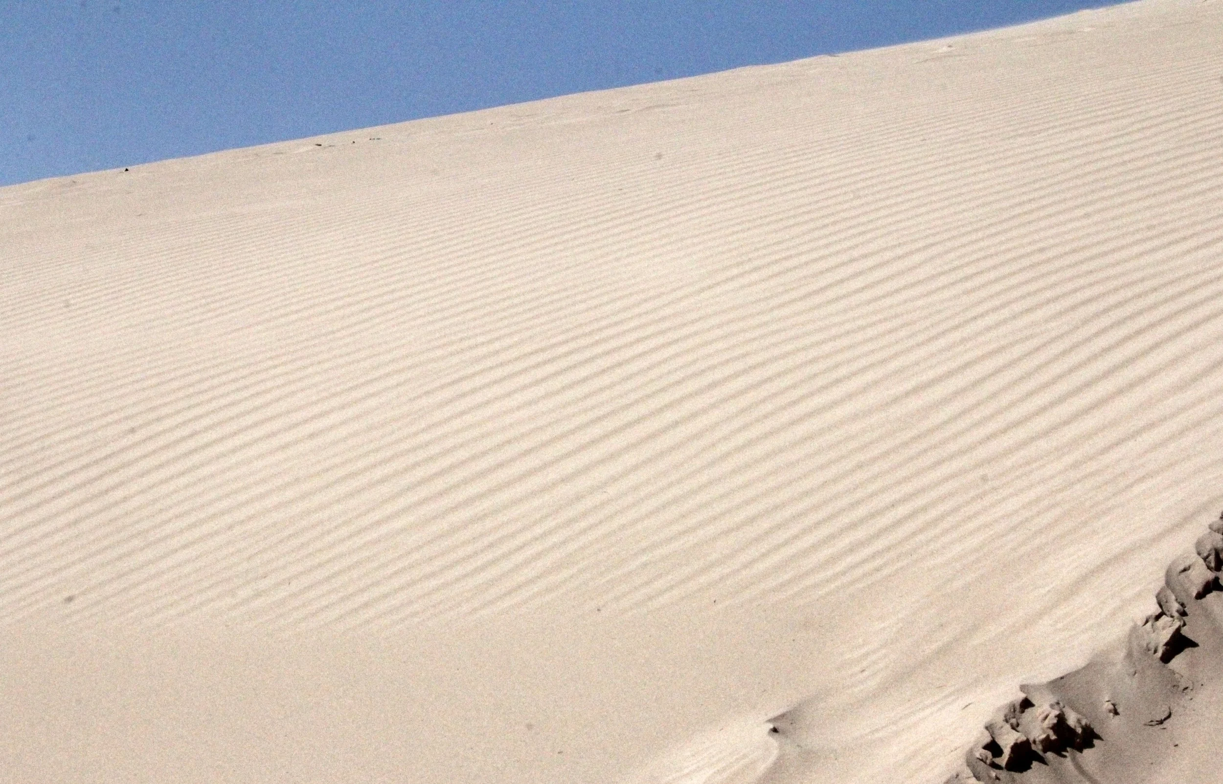 INNER MONGOLIA 2013 (838).JPG