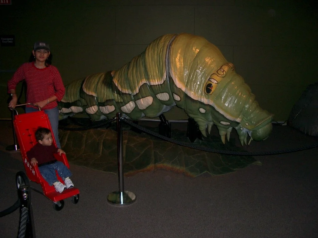 2003-11-28 DAY TRIP TO VICTORIA BC (4).JPG