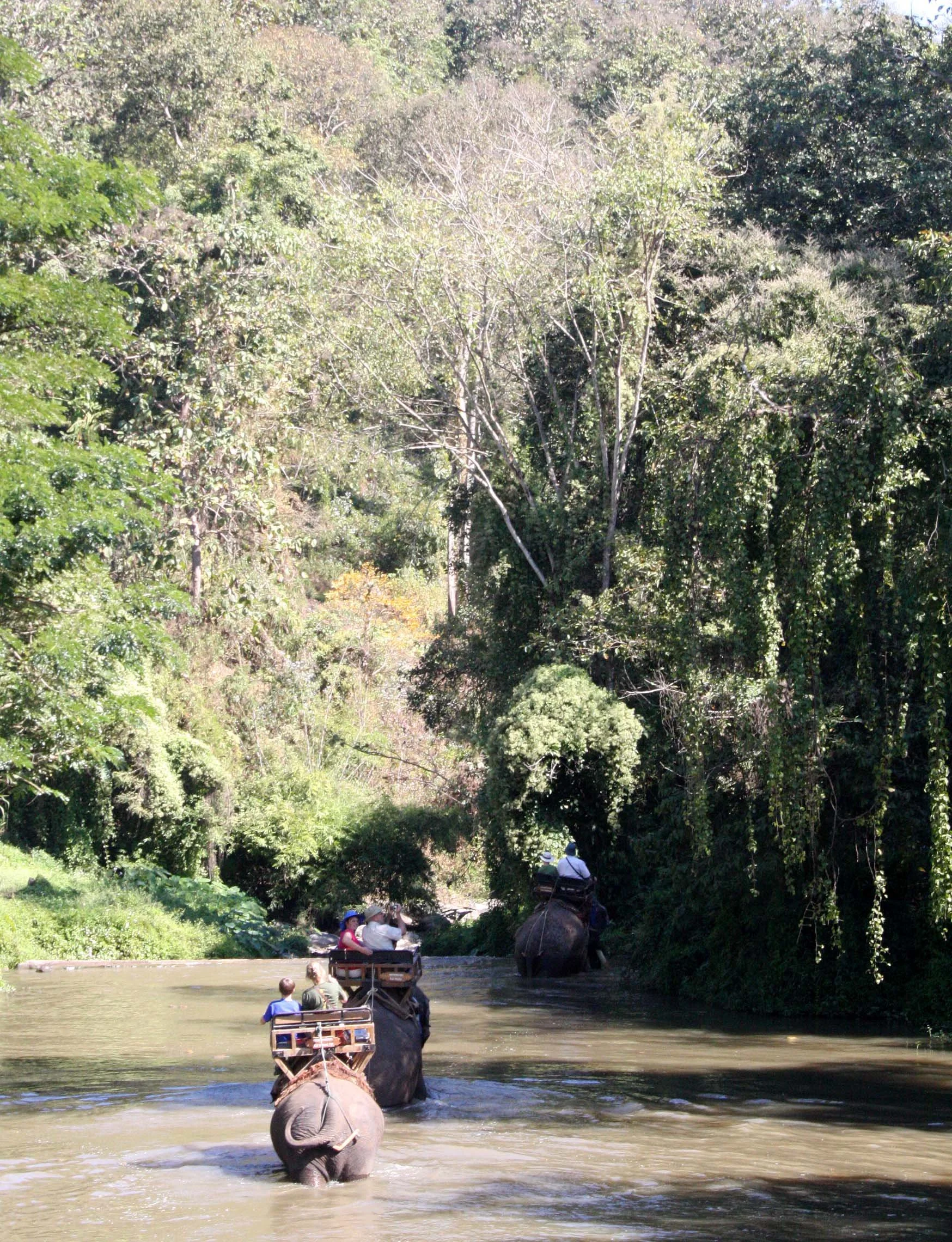 2008 Lampang City & Elephant Center (26).JPG