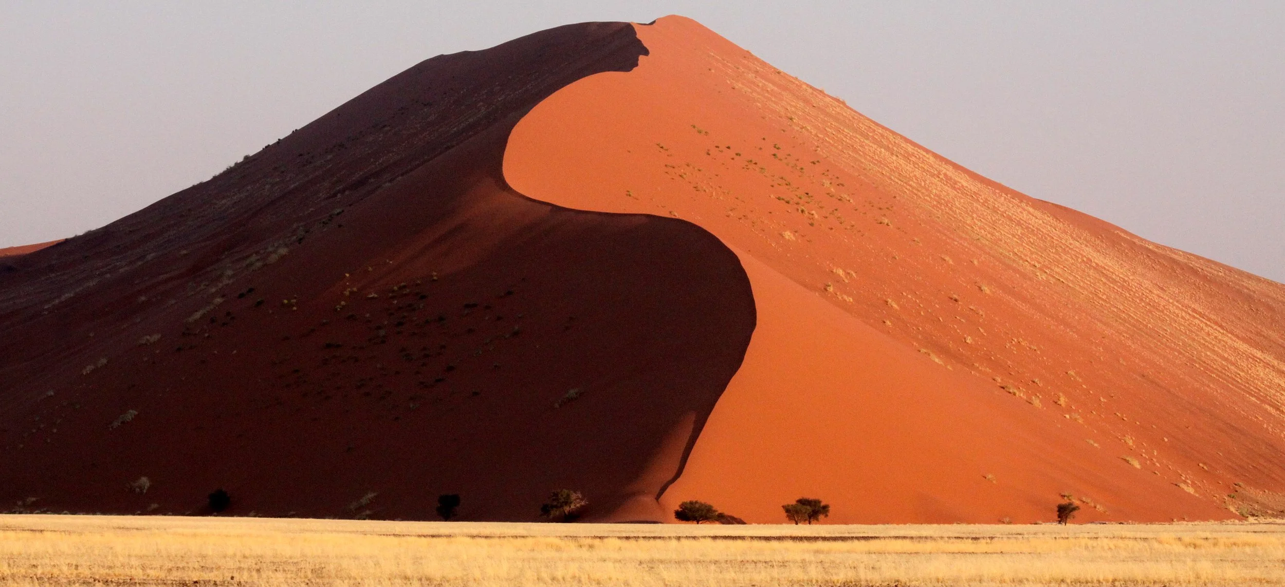 SOSSUSVLEI, NAMIB NAUKLUFT NATIONAL PARK, NAMIBIA (67).JPG