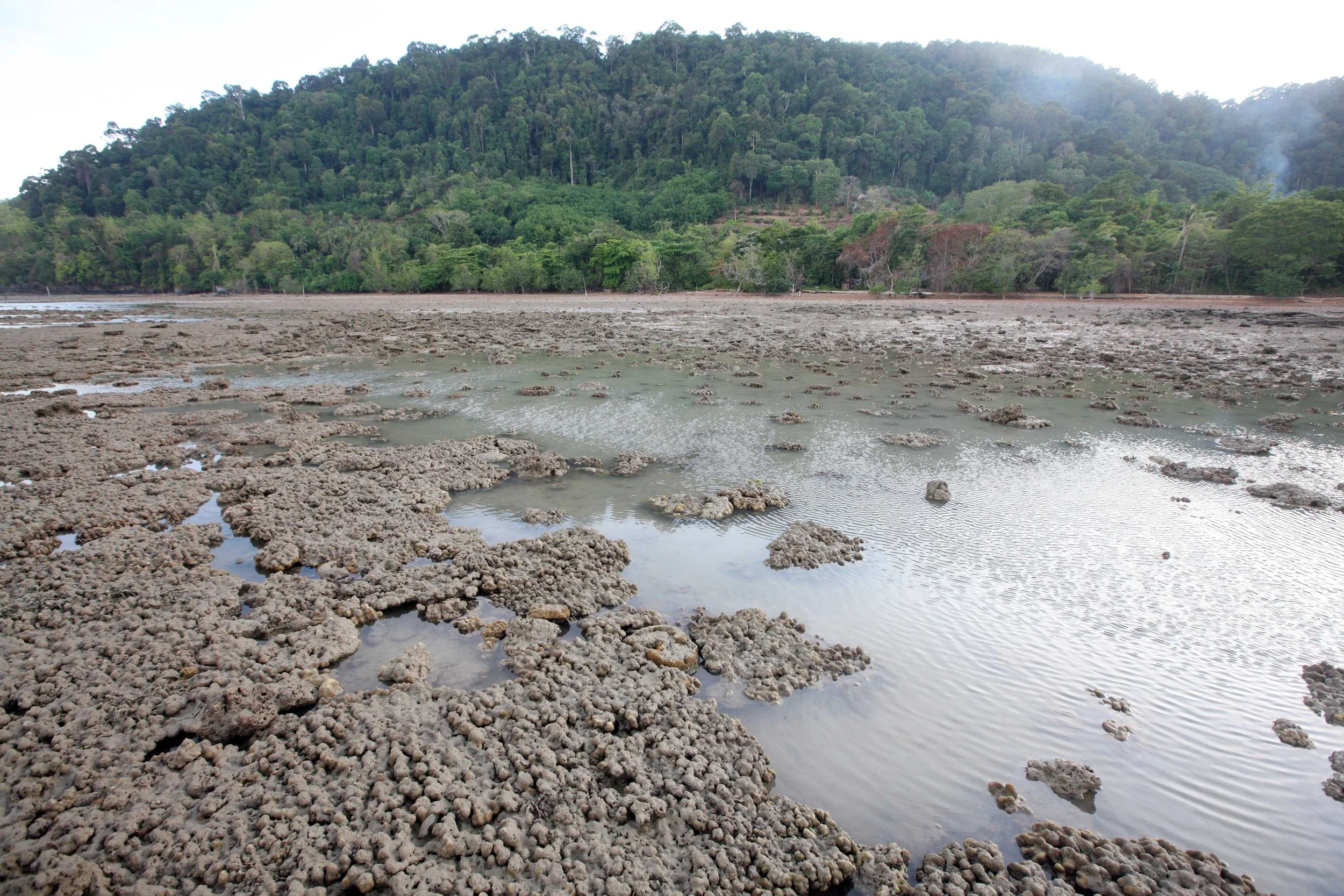 2015 Koh Lanta Songkran with friends from ISB (232).JPG