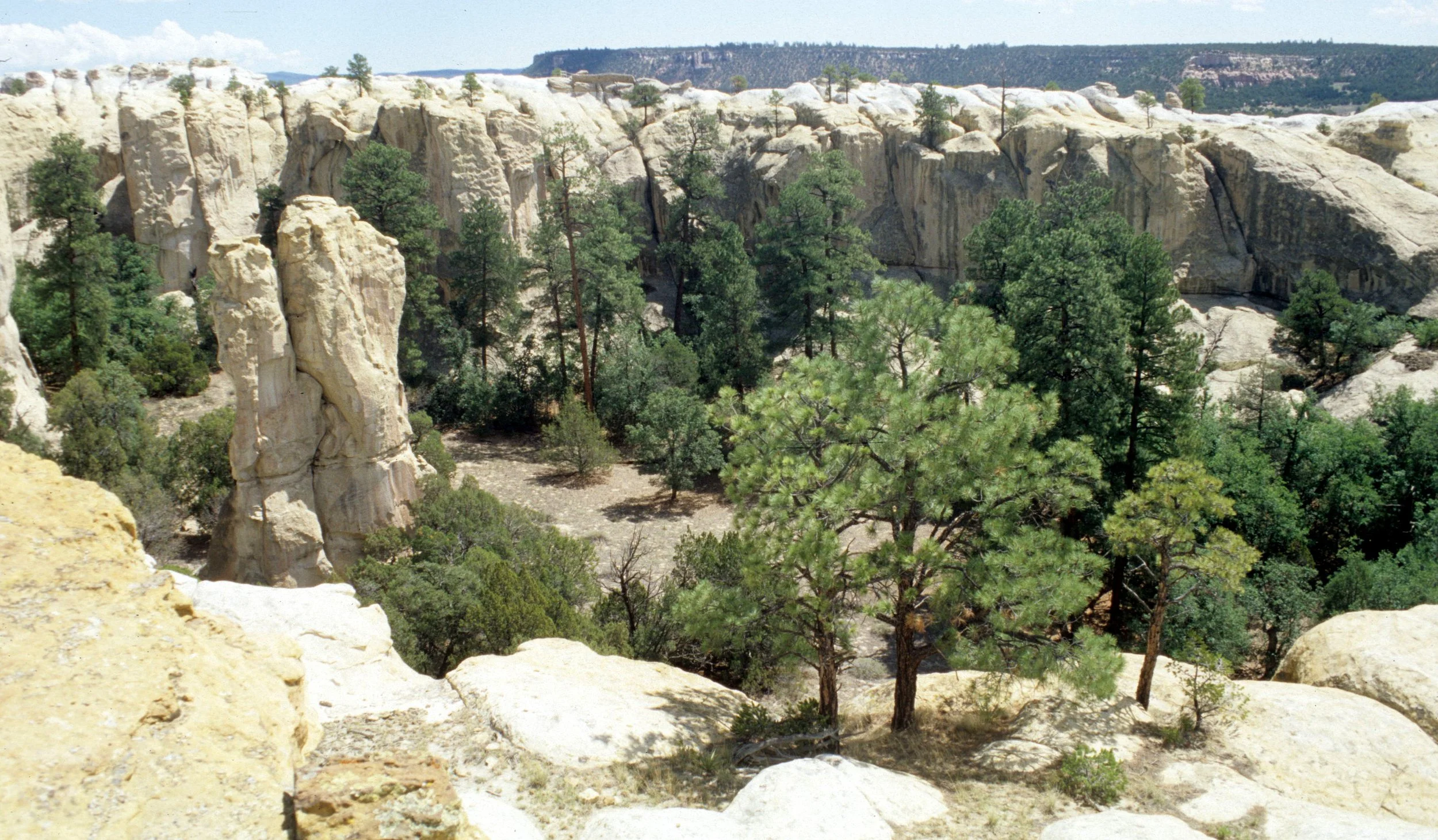 ANASAZILAND - EL MORRO NATIONAL MONUMENT - NEW MEXICO (6).jpg