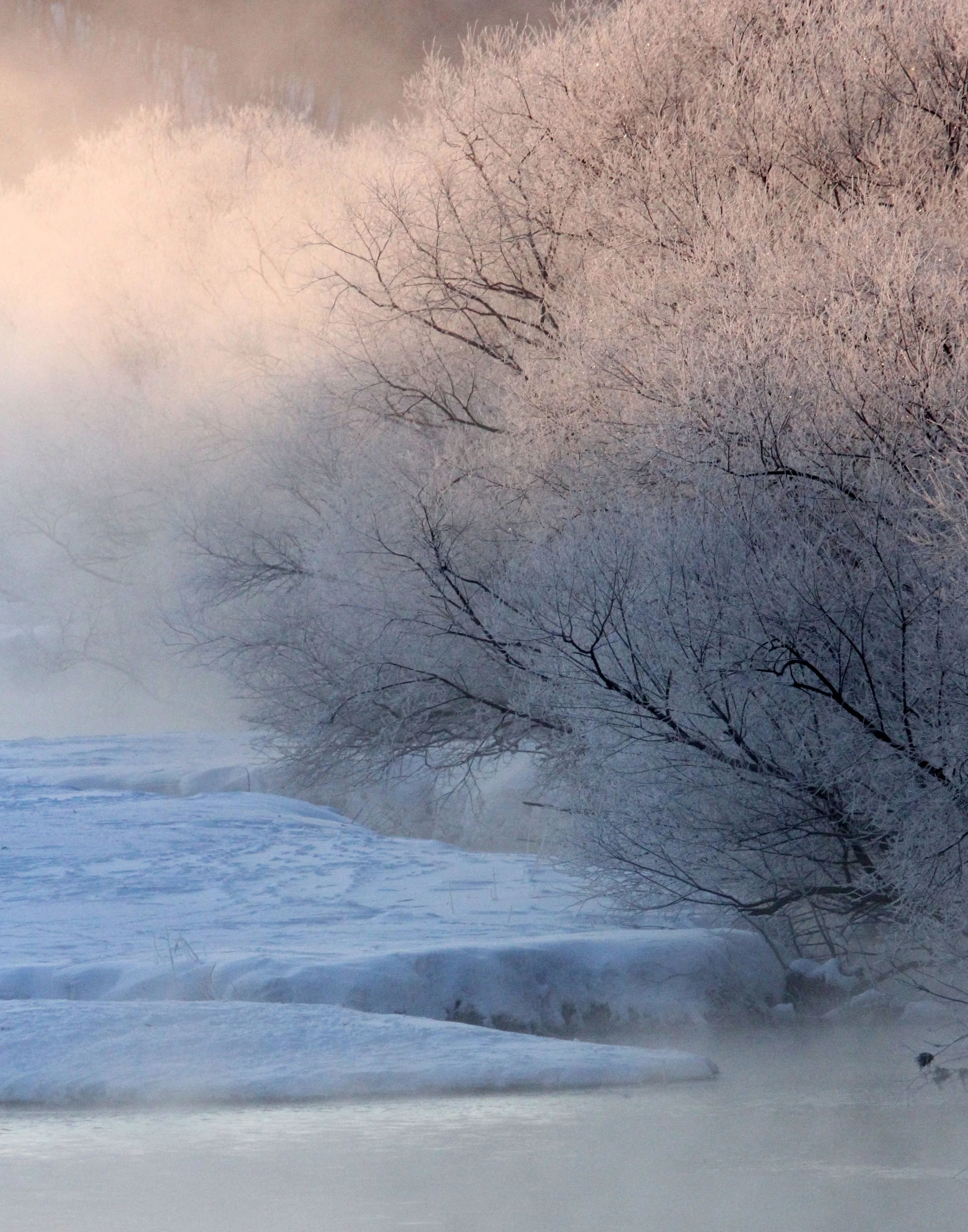 OTOWABASHI SETSUGAWA - TSURUI TOWN - HOKKAIDO JAPAN (27).JPG